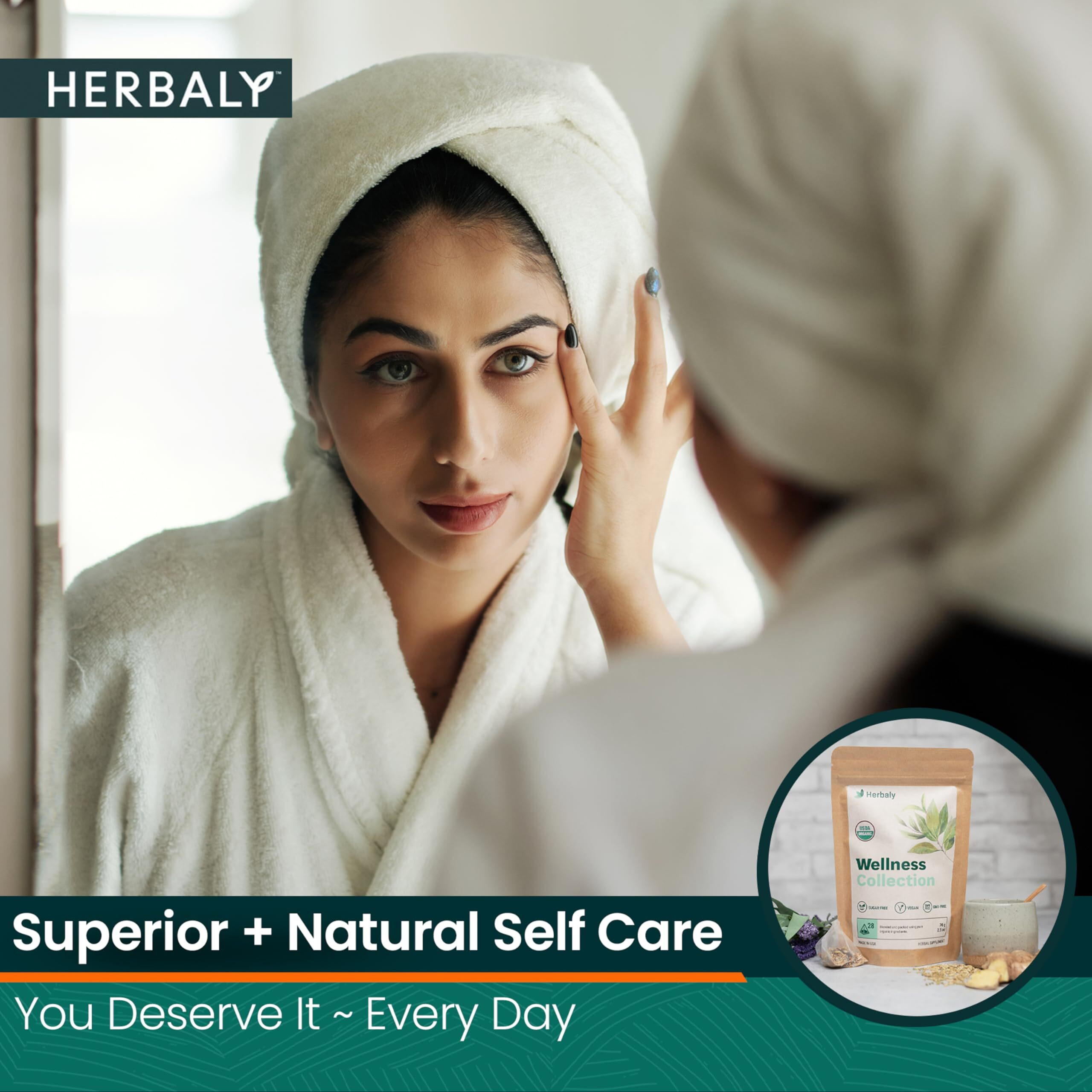 Herbaly Wellness Collection Organic Herbal Ginger Tea, 70 G, 28 Count Bag (Pack Of 1)