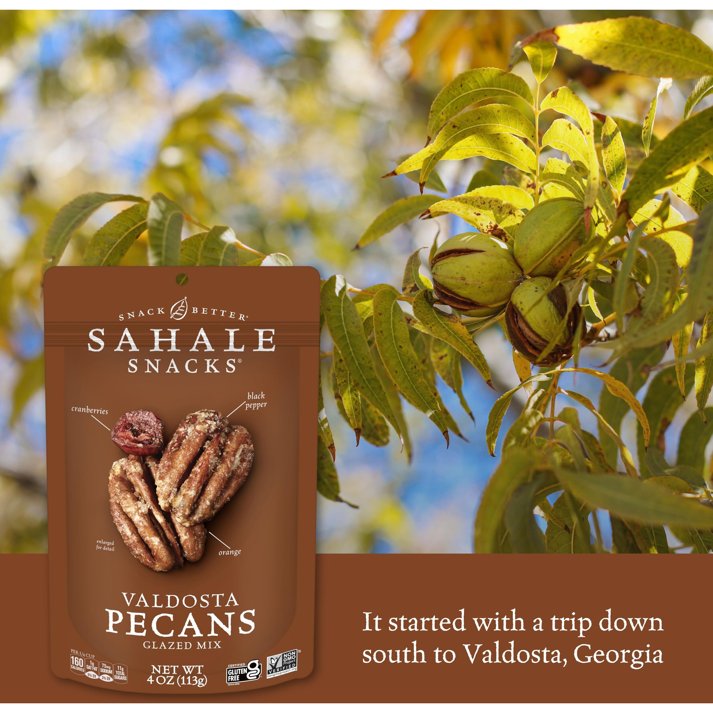 Sahale Snacks Valdosta Pecans, 4 Oz
