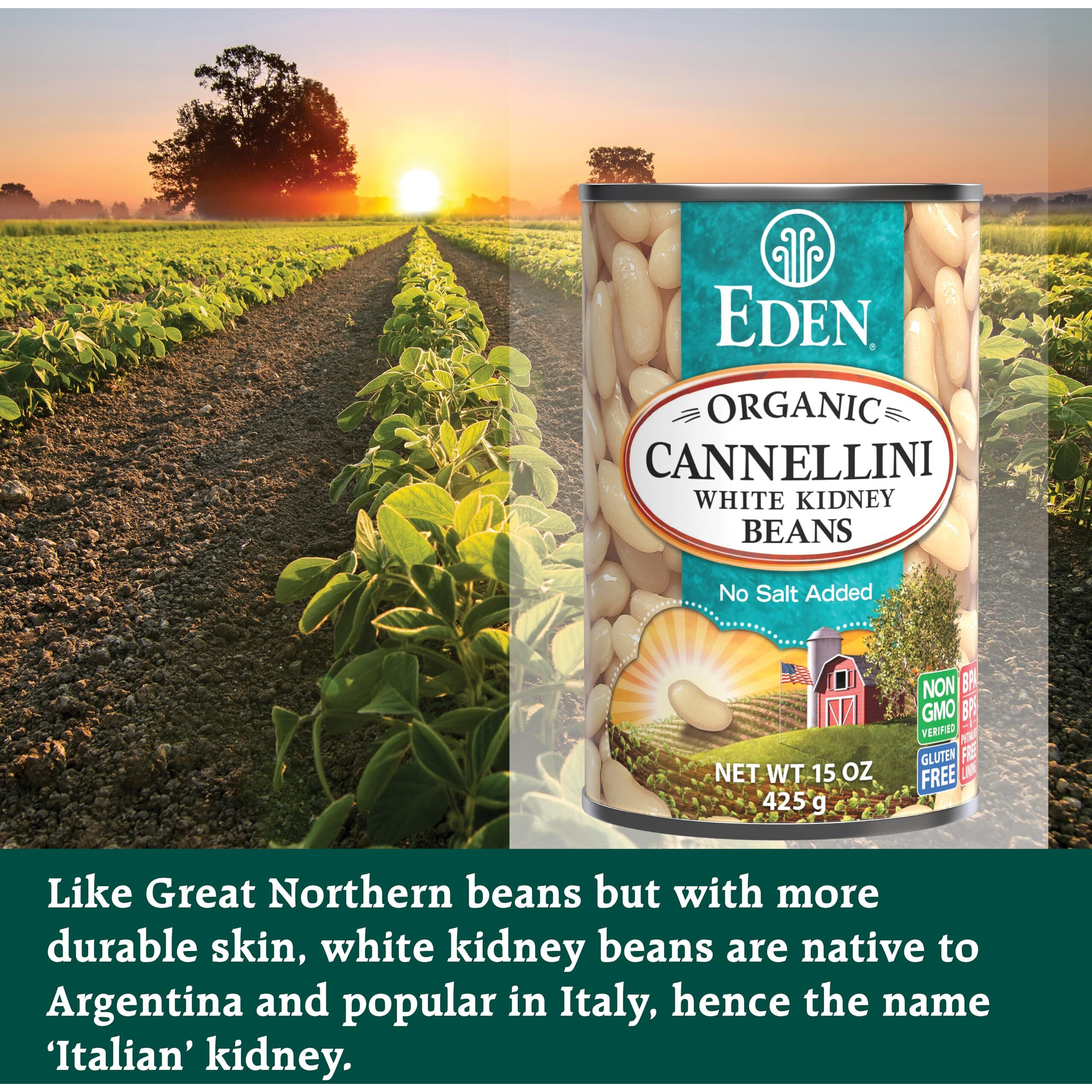 Eden Organic Cannellini White Kidney Beans, No Salt Added, 15-Ounce Cans (Pack Of 12)