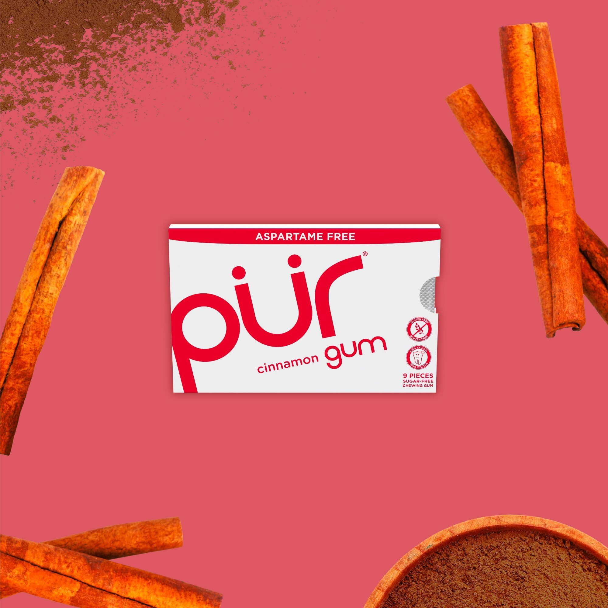 Pur Gum | Aspartame Free Chewing Gum | 100% Xylitol | Natural Cinnamon Flavored Gum, 9 Pieces (Pack Of 12)