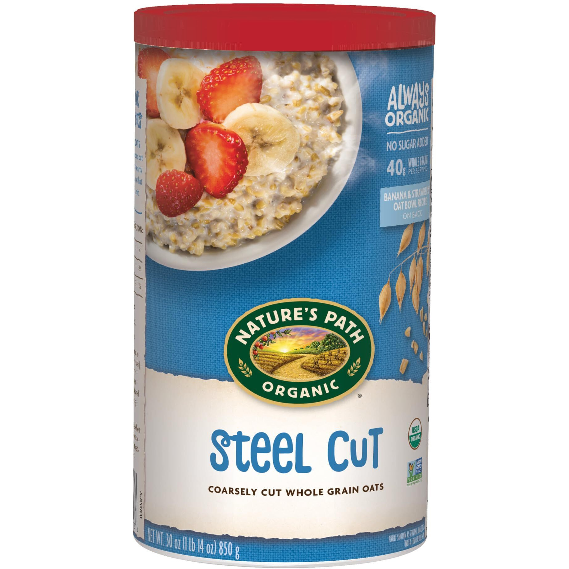 Nature's Path Organic Steel Cut Oats Oatmeal, 30 Oz (Pack Of 1), Non-Gmo