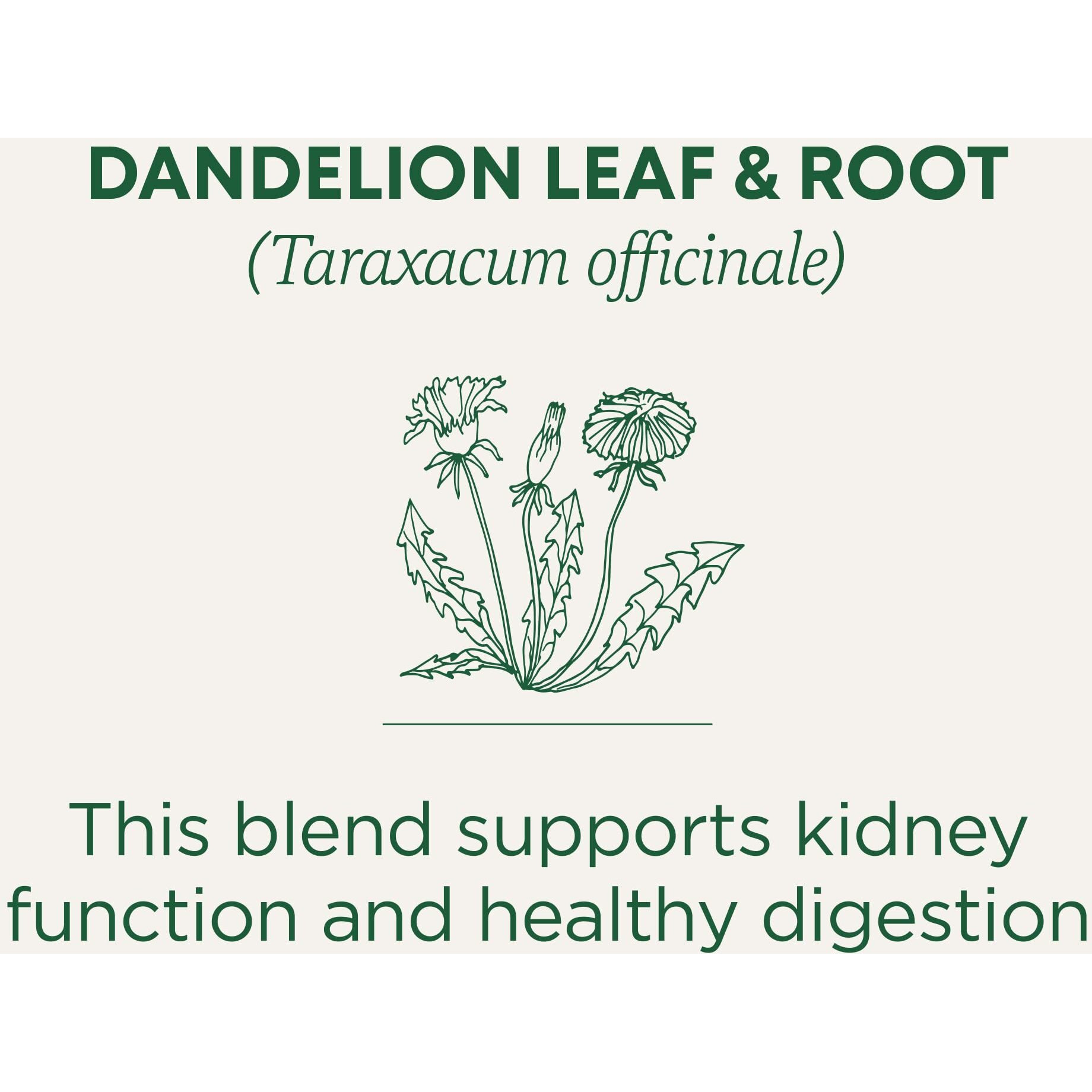 Traditional Medicinals Tea, Organic Dandelion Leaf & Root, Supports Kidney Function & Healthy Digestion, 16 Tea Bags