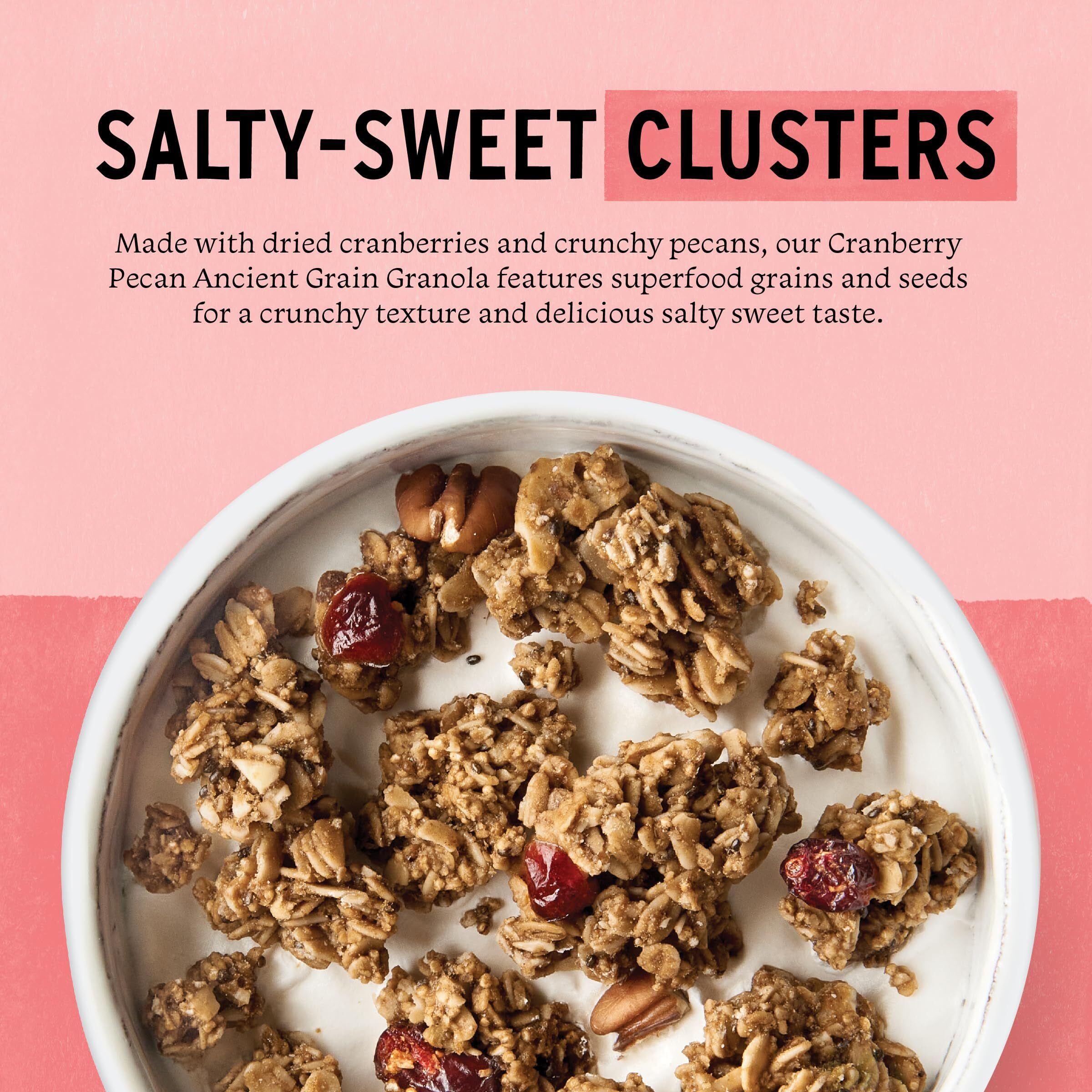 Purely Elizabeth Ancient Grain Granola, Certified Gluten-Free, Vegan & Non-Gmo | Coconut Sugar | Delicious Healthy Snack | Cranberry Pecan | 12Oz