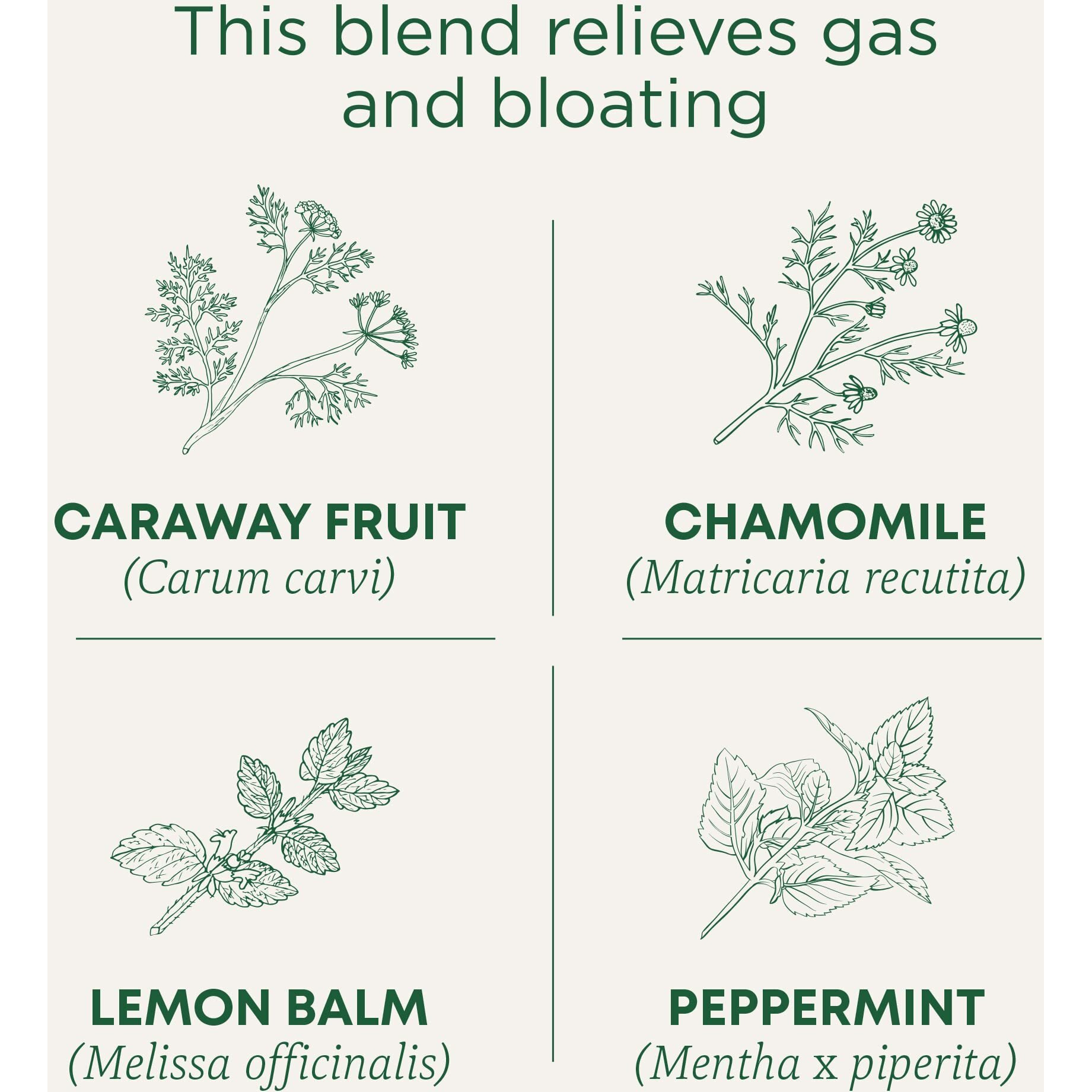 Traditional Medicinals Tea, Organic Gas Relief, Relieves Gas & Bloating, Chamomile Mint, 16 Tea Bags