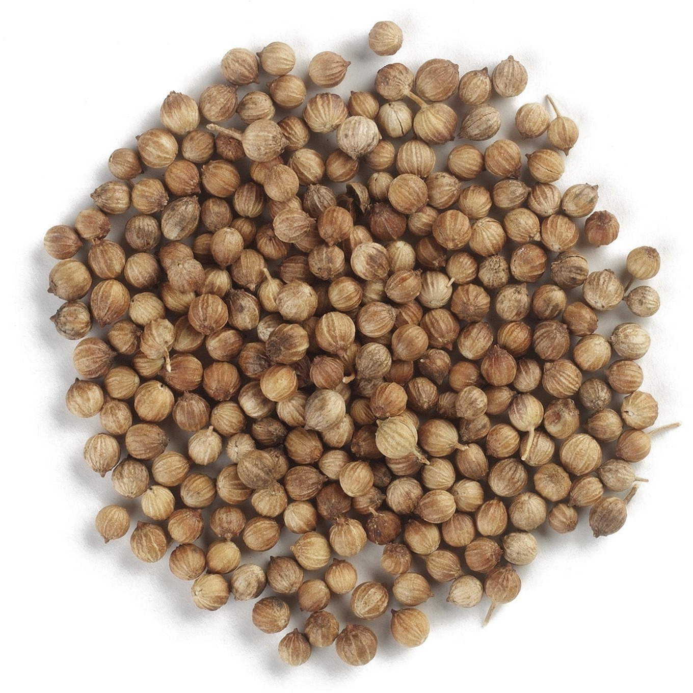 Frontier Co-Op Organic Whole Coriander Seed, 1-Pound Bulk Bag, Rich, Bright Aroma, Slight Citrus Undertones
