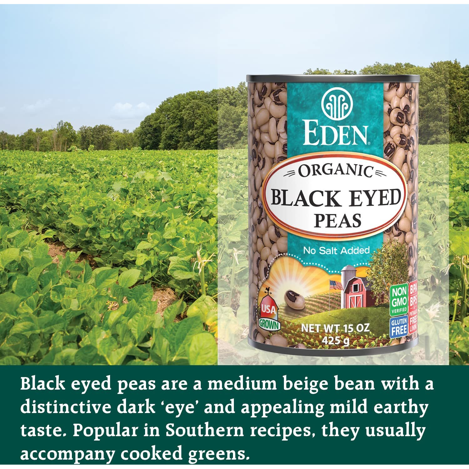 Eden Organic Black Eyed Peas, No Salt Added, 15-Ounce Cans (Pack Of 12)