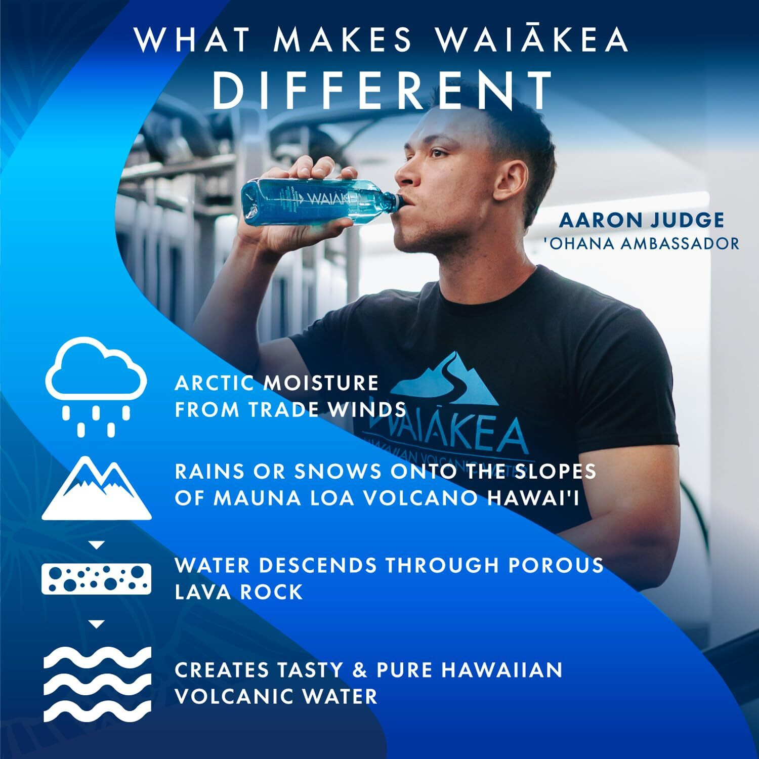 Waiakea Hawaiian Volcanic Water, Naturally Alkaline, 100% Recycled Bottle, 1L (Pack Of 12), 33.8 Fl Oz (Pack Of 12)