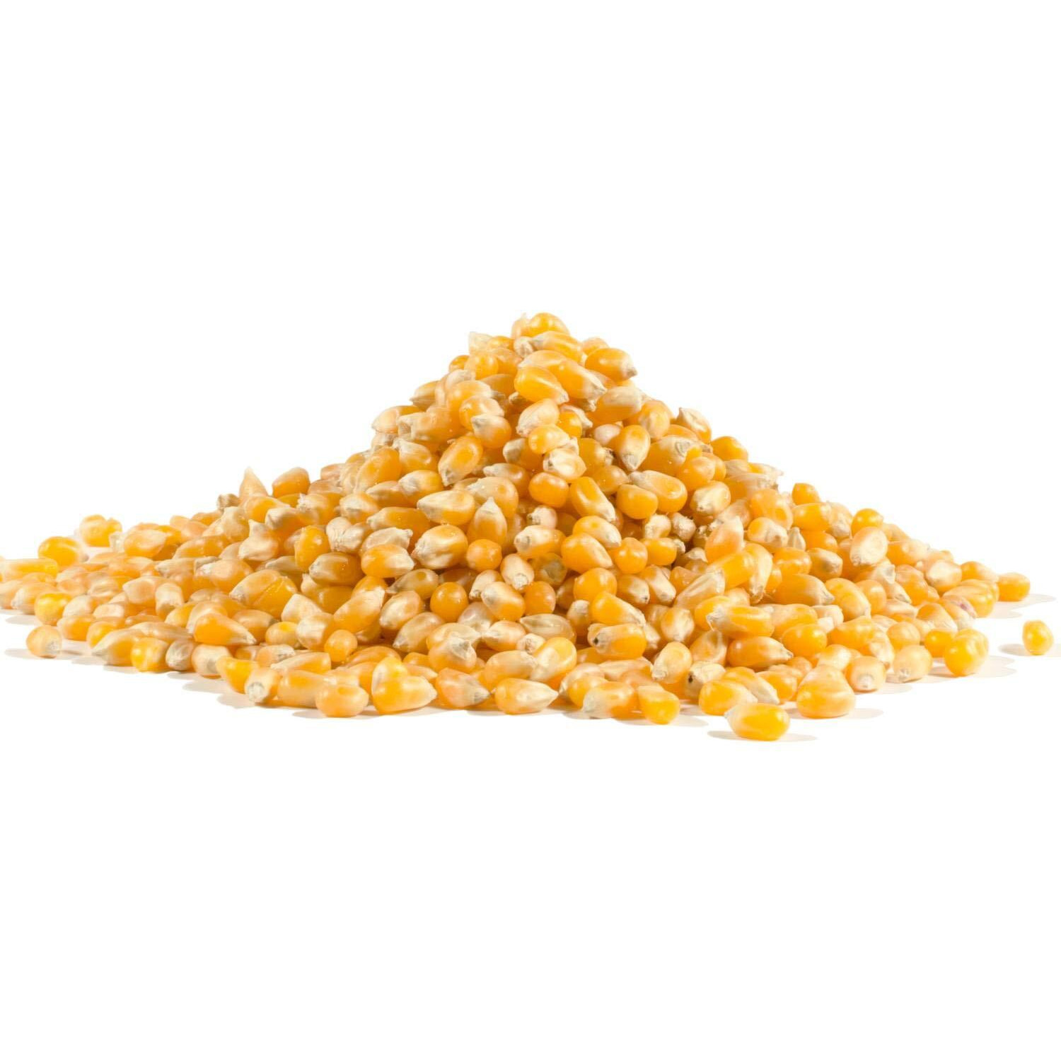 Bob's Red Mill Whole Yellow Popcorn, 30 Oz
