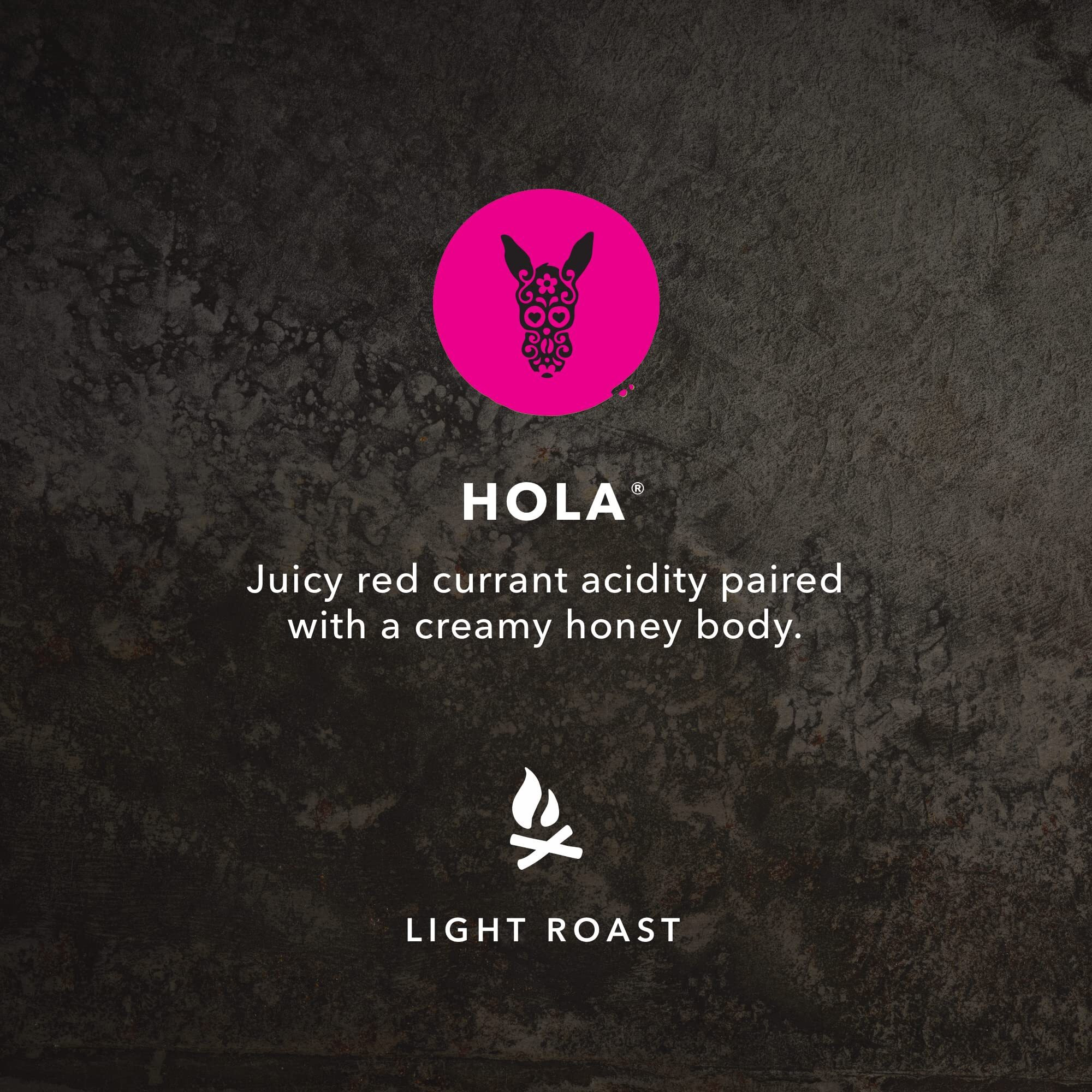Kicking Horse Coffee, Hola, Light Roast, Ground, 10 Oz