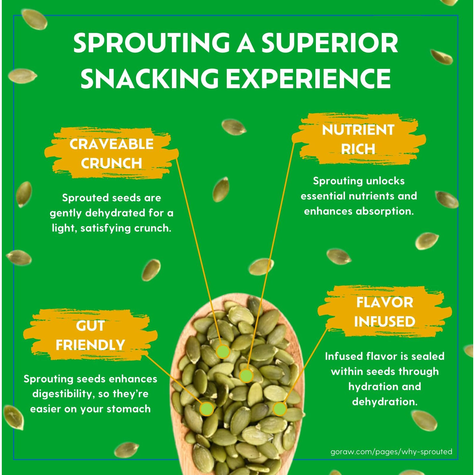 Go Raw Organic Sprouted Mixed Seeds, 13 Oz, Unsalted, Keto, Kosher, Superfood