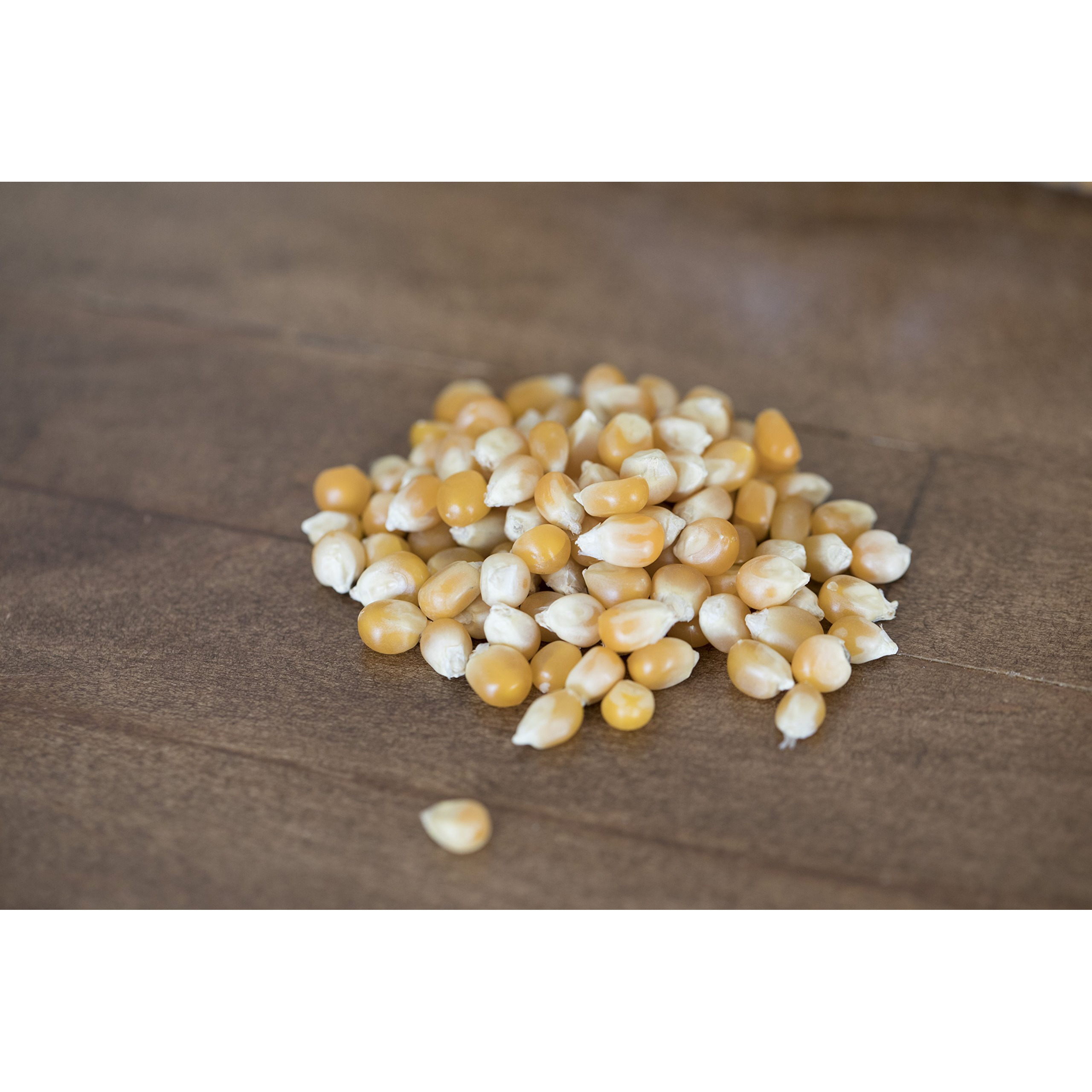 Amish Country Popcorn | 2 Lb Bag | Extra Large Caramel Type Popcorn Kernels | Old Fashioned, Non-Gmo And Gluten Free (Extra Large Caramel - 2 Lb Bag)