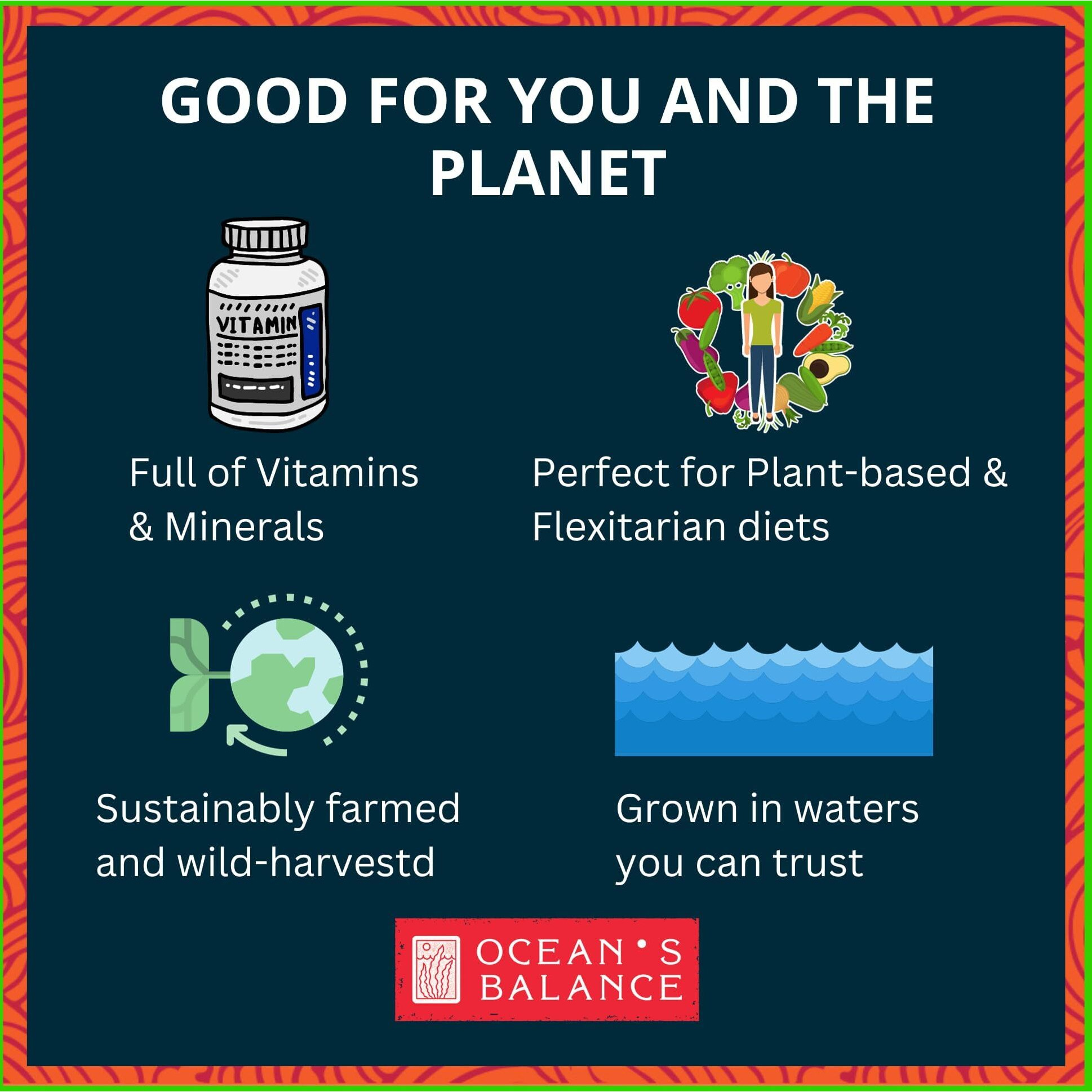 Ocean's Balance Organic Kombu Flakes - Maine Coast Vegetables For Keto, Paleo, Vegetarian & Vegan Diets - Sweet Seaweed Gluten Free Products (16Oz)