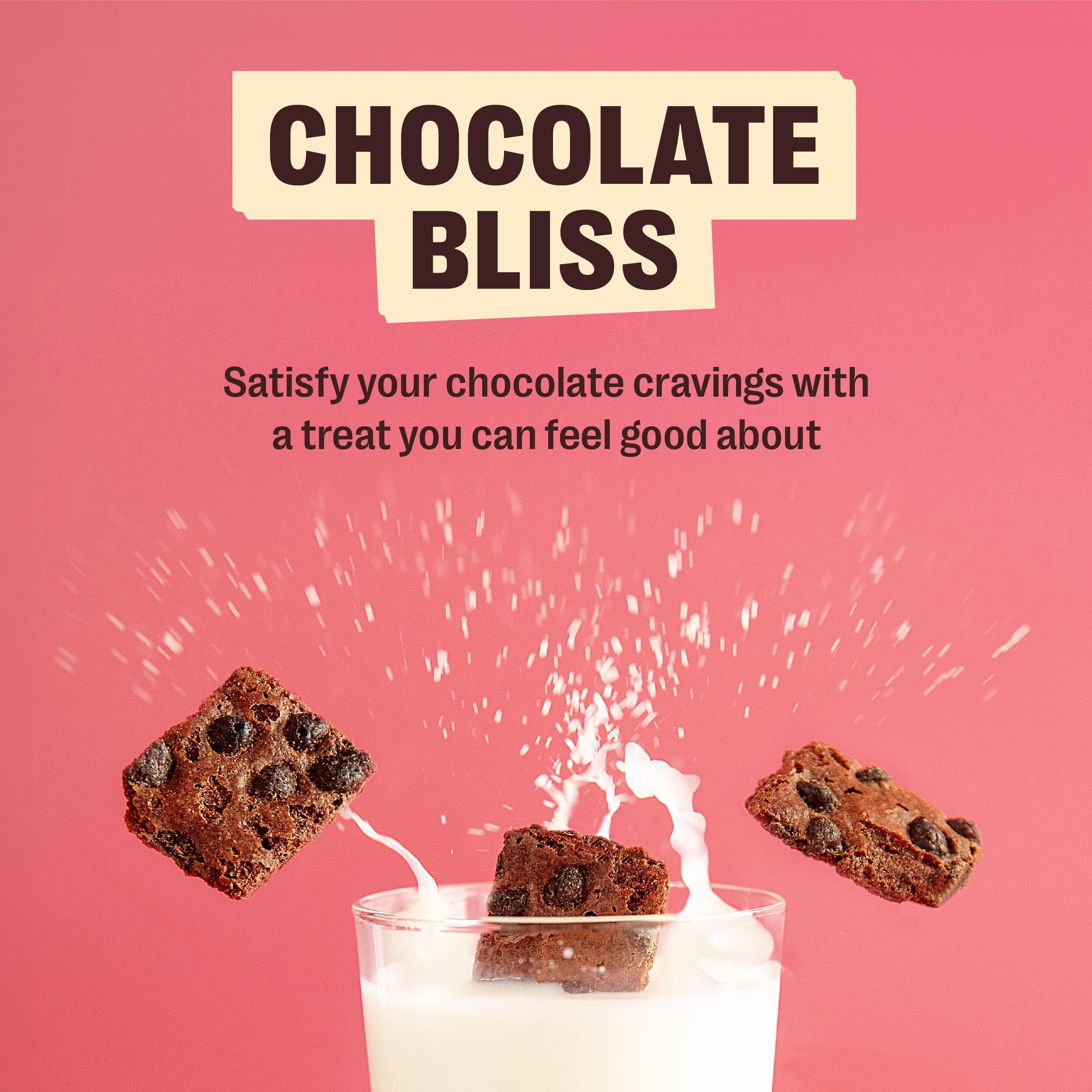 Brownie Brittle - Chocolate Chip & Salted Caramel Thin And Crispy Sweet Snacks (Pack Of 20, 1 Oz), Rich Gourmet Brownie Bites Dessert