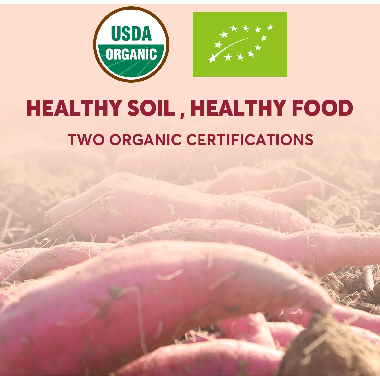 Sungiven 14.11 Oz Organic Sweet Potato Glass Noodles, Korean Vermicelli Pasta For Japchae, Fat-Free And Gluten-Free, 100% Sweet Potato Starch, No Additive, No Alum Inside