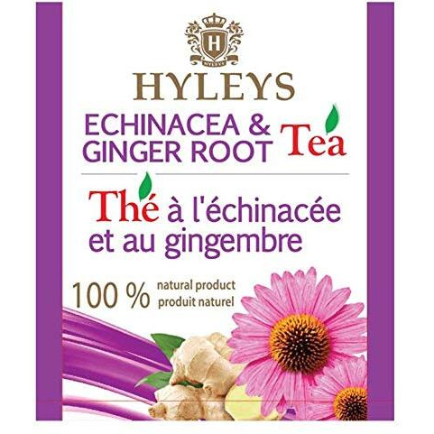 12 Pack Of Hyleys Wellness Natural Echinacea & Ginger Root Green Tea - 25 Tea Bags - (100% Natural, Sugar Free, Gluten Free And Non-Gmo)