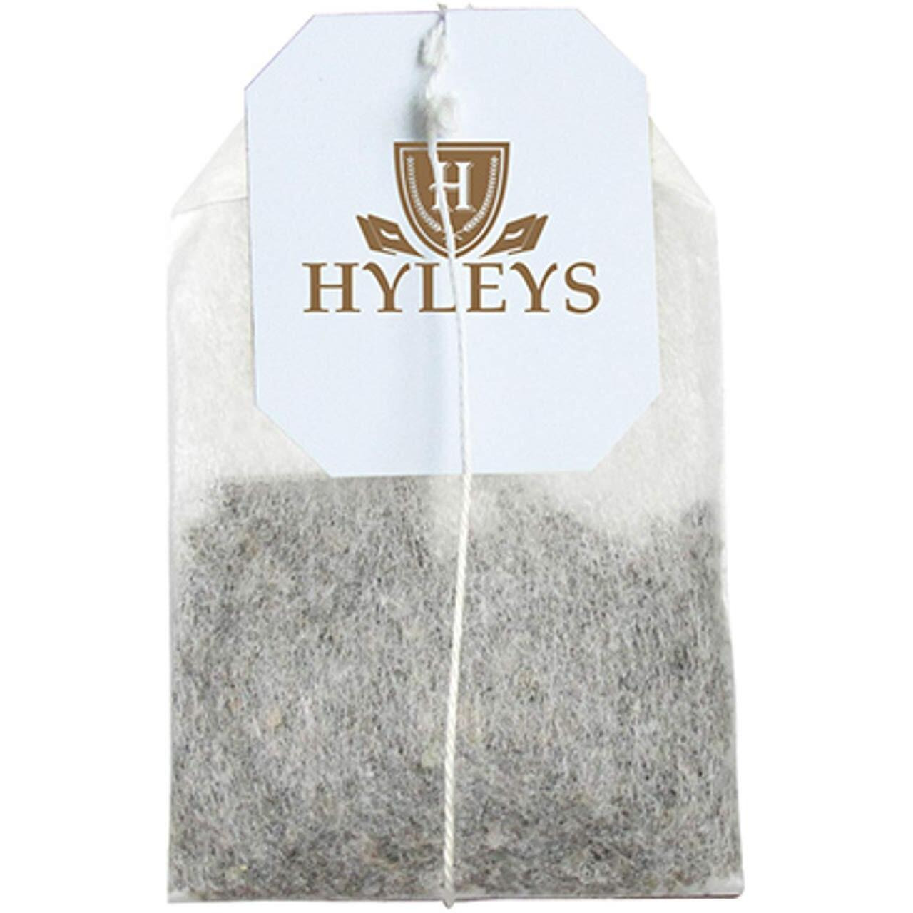 12 Pack Of Hyleys Wellness Natural Echinacea & Ginger Root Green Tea - 25 Tea Bags - (100% Natural, Sugar Free, Gluten Free And Non-Gmo)
