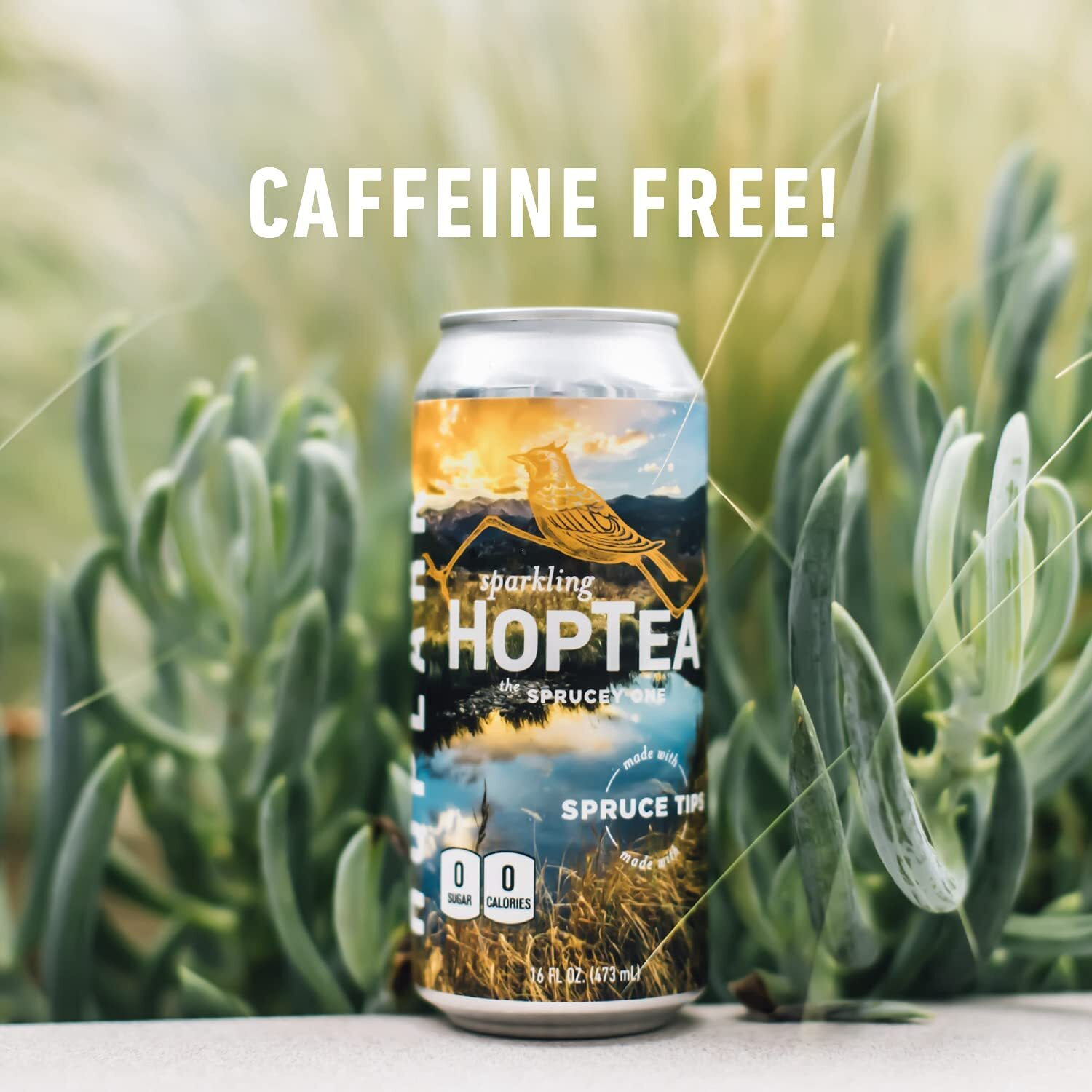 Hoplark Sparkling Hoptea - The Relax Pack - Craft Brewed Na Beer Alternative - Organic, Gluten-Free, Non Gmo, Zero Calories, Sugar-Free, Unsweetened (12, 16Oz Cans)