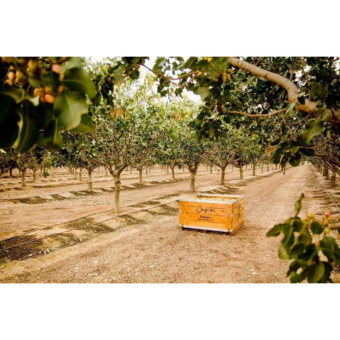 Buffalo Wing Seasoned Shelled Pistachios Kernels - No Shells Dry Roasted No Shell Pistachios, Dry Roasted, Non-Gmo Project Verified, Gluten Free, Vegan, Kosher, 5 Oz Resealable Bag