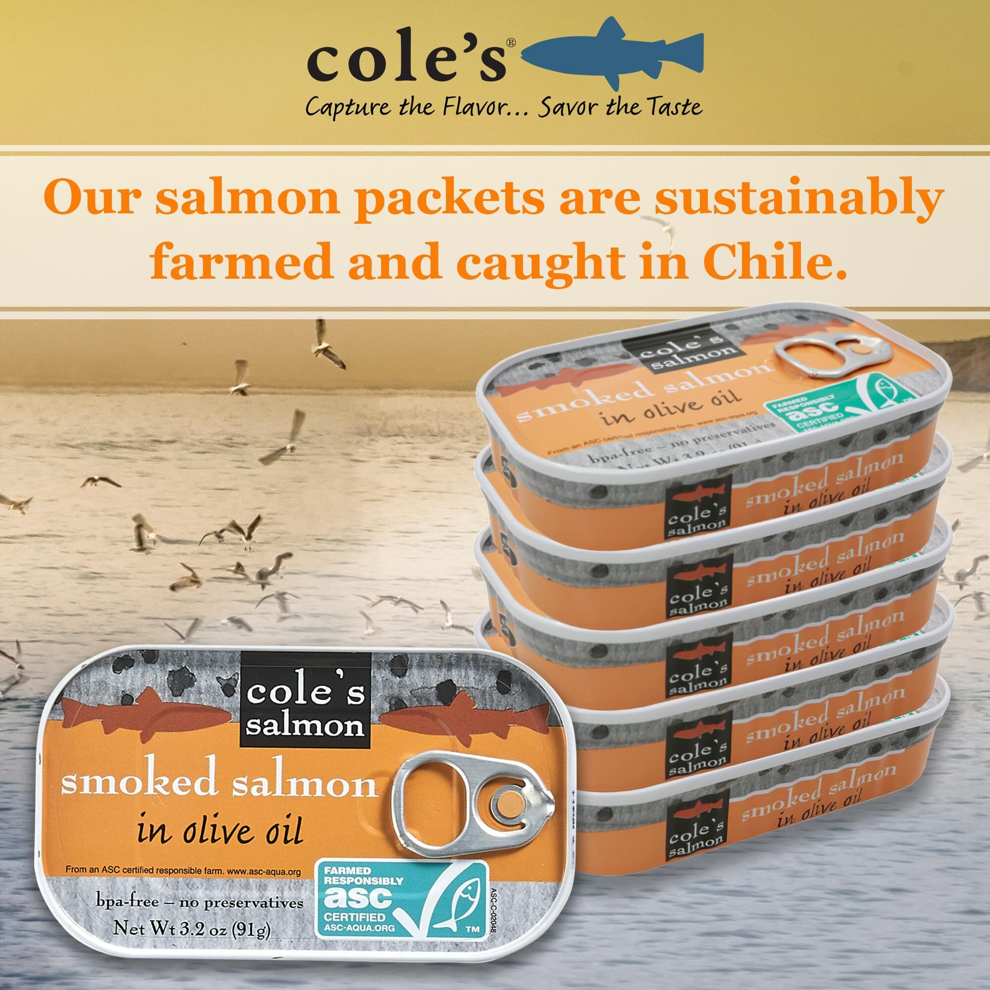 Cole's Seafood - Hand Packed Smoked Salmon In Olive Oil, Preservative Free Seafood, Canned Fish, High In Protein And Omegas, 3.2 Oz Can | Pack Of 10