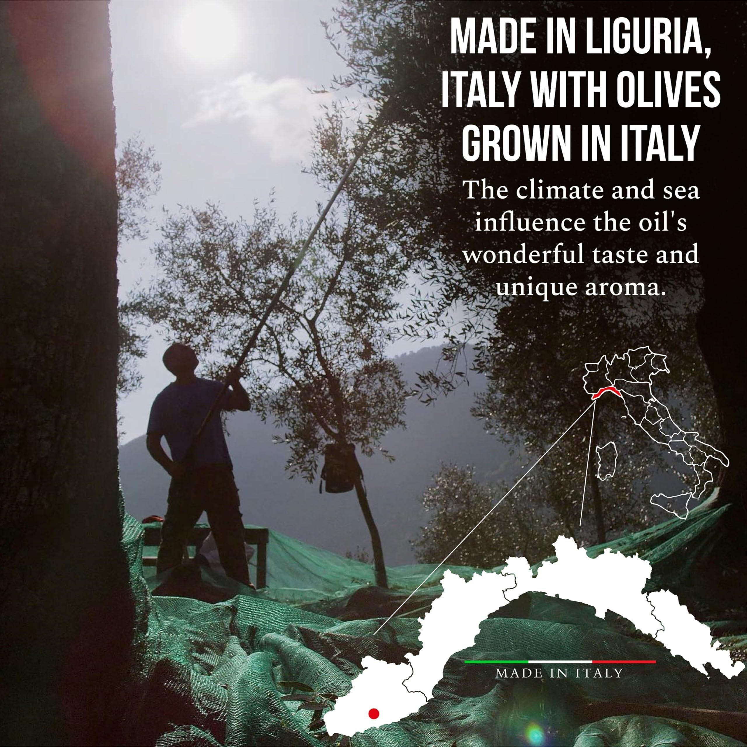 Roi Extra Virgin Olive Oil From Italy - Cucina Ligurian Olive Oil From Italy, First Cold Pressed, Pure, Polyphenol Rich Evoo, 34 Fl Oz (1 Liter)
