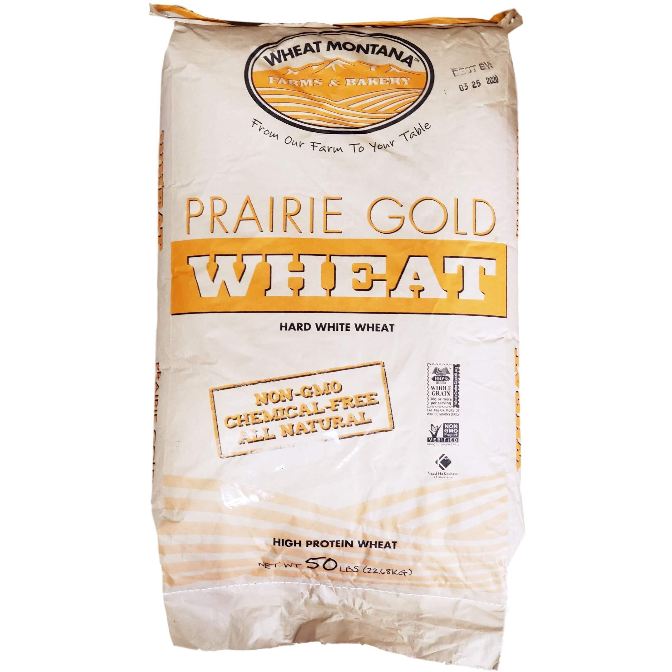 Wheat Montana - Prairie Gold Wheat Berries - 1 Pack - 50Lb Bag