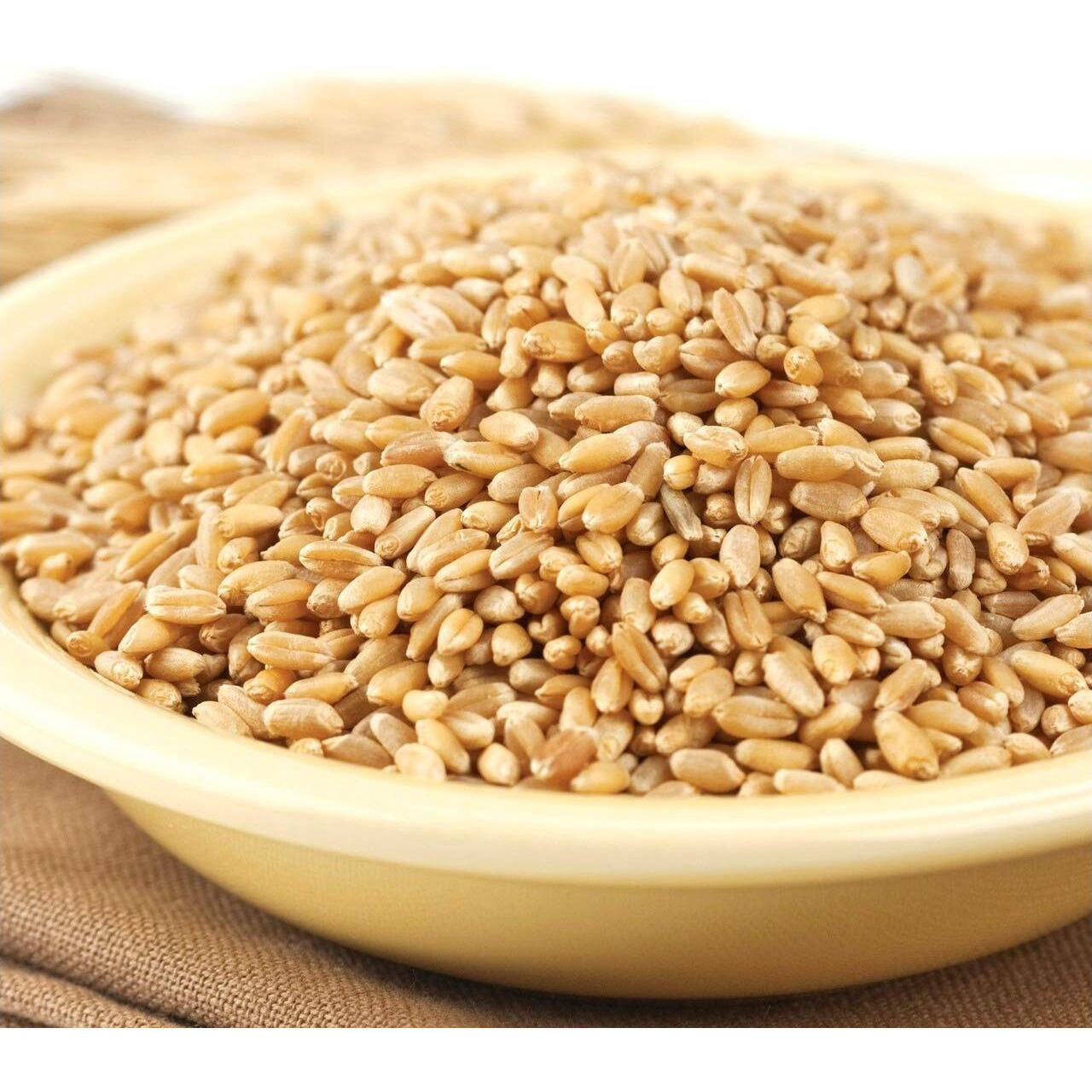 Wheat Montana - Prairie Gold Wheat Berries - 1 Pack - 50Lb Bag