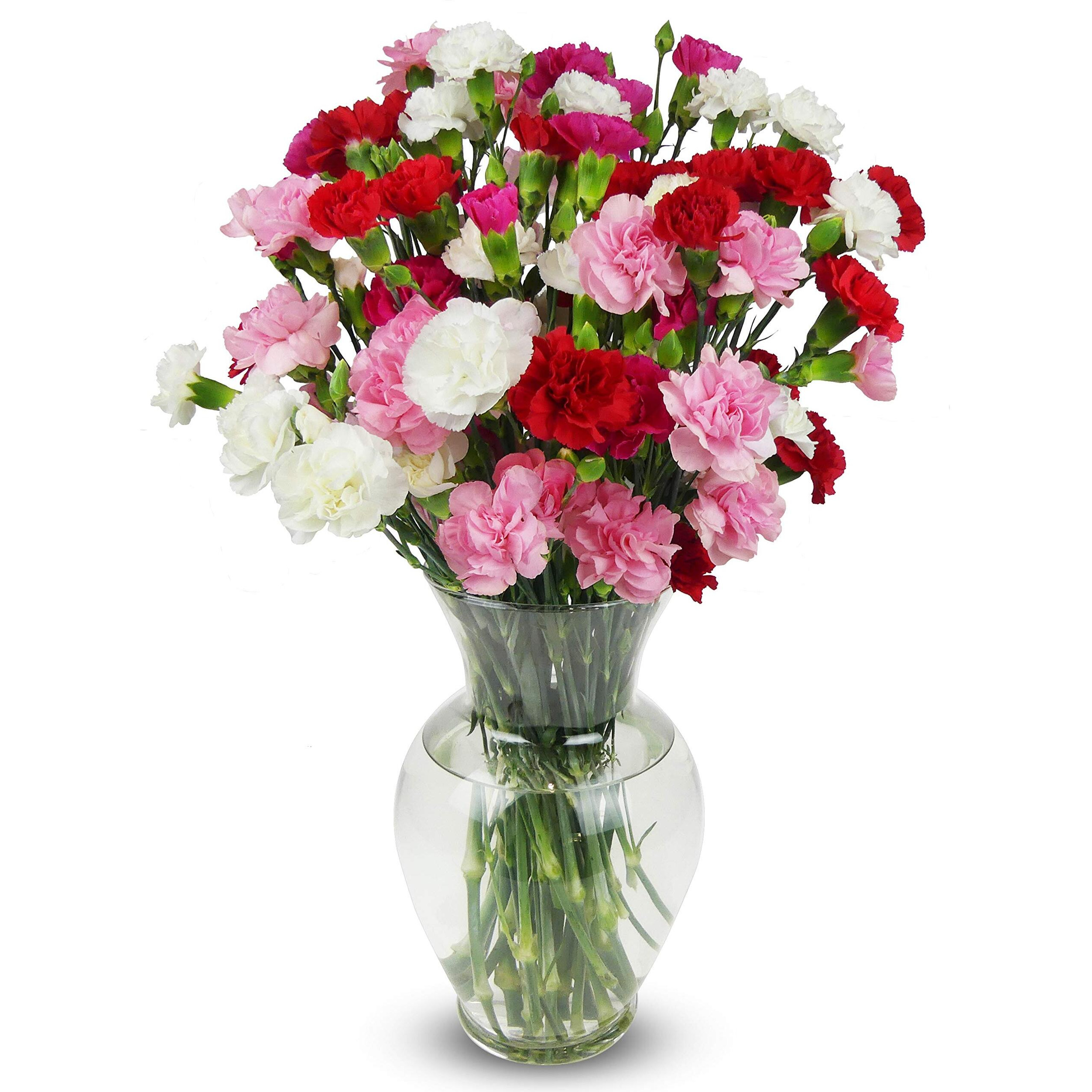 Benchmark Bouquets - 20 Stem Rainbow Mini Carnations (Glass Vase Included) - Fresh Flowers For Delivery - Gift For Graduation, Birthday, Anniversary, Sympathy, Get Well, Congratulations