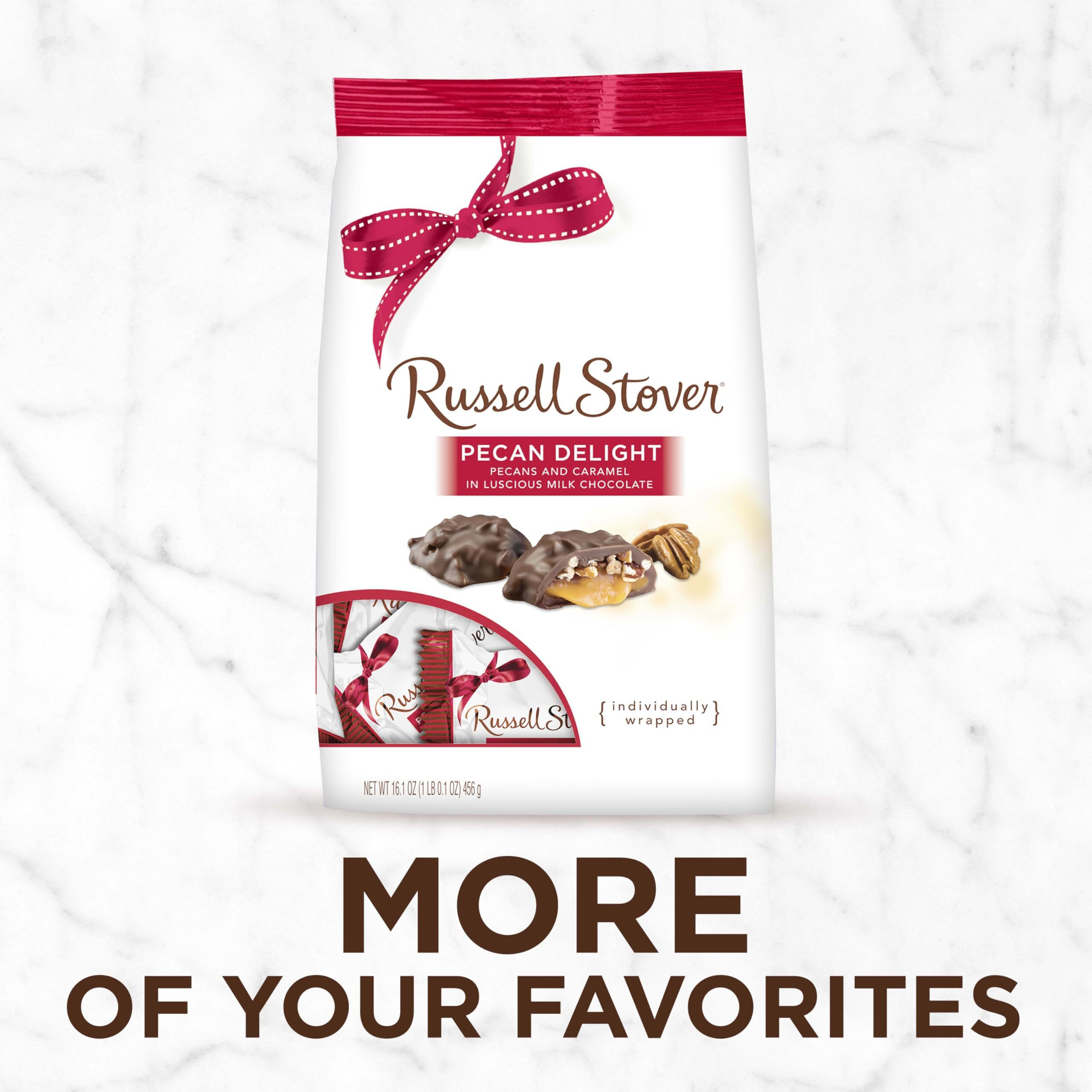 Russell Stover Pecan Delight Gusset Bag 16.10 Ounce Russel Stover Milk Chocolate Covered Candy Pack, Crunchy Pecans And Buttery Caramel Covered In Sweet Milk Chocolate Candy, Individually Wrapped
