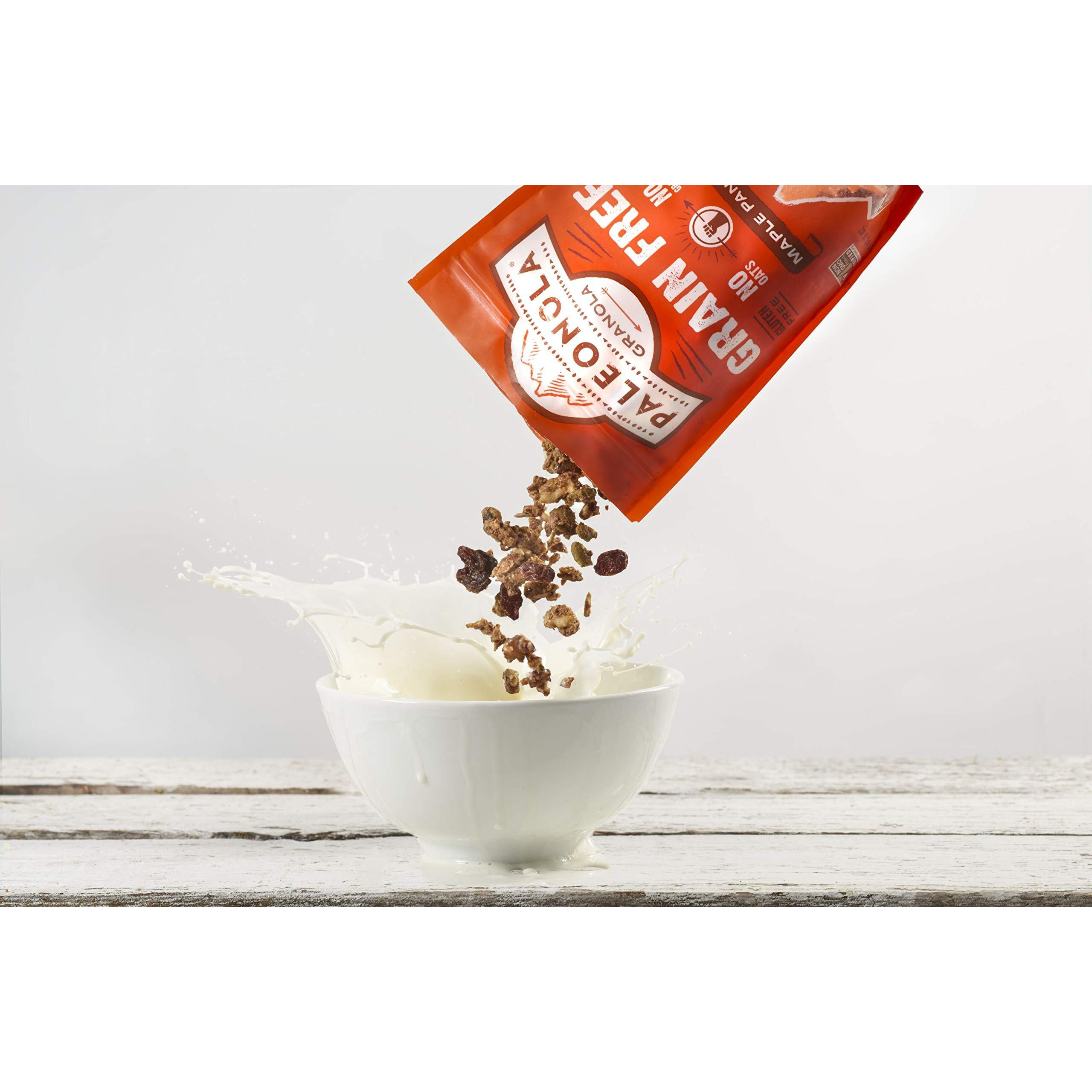 Paleonola - Grain Free Granola Maple Pancake Flavor - Non-Gmo, Grain, Soy, Gluten, Dairy Free - Low Carb Protein Snack For A Healthy Breakfast