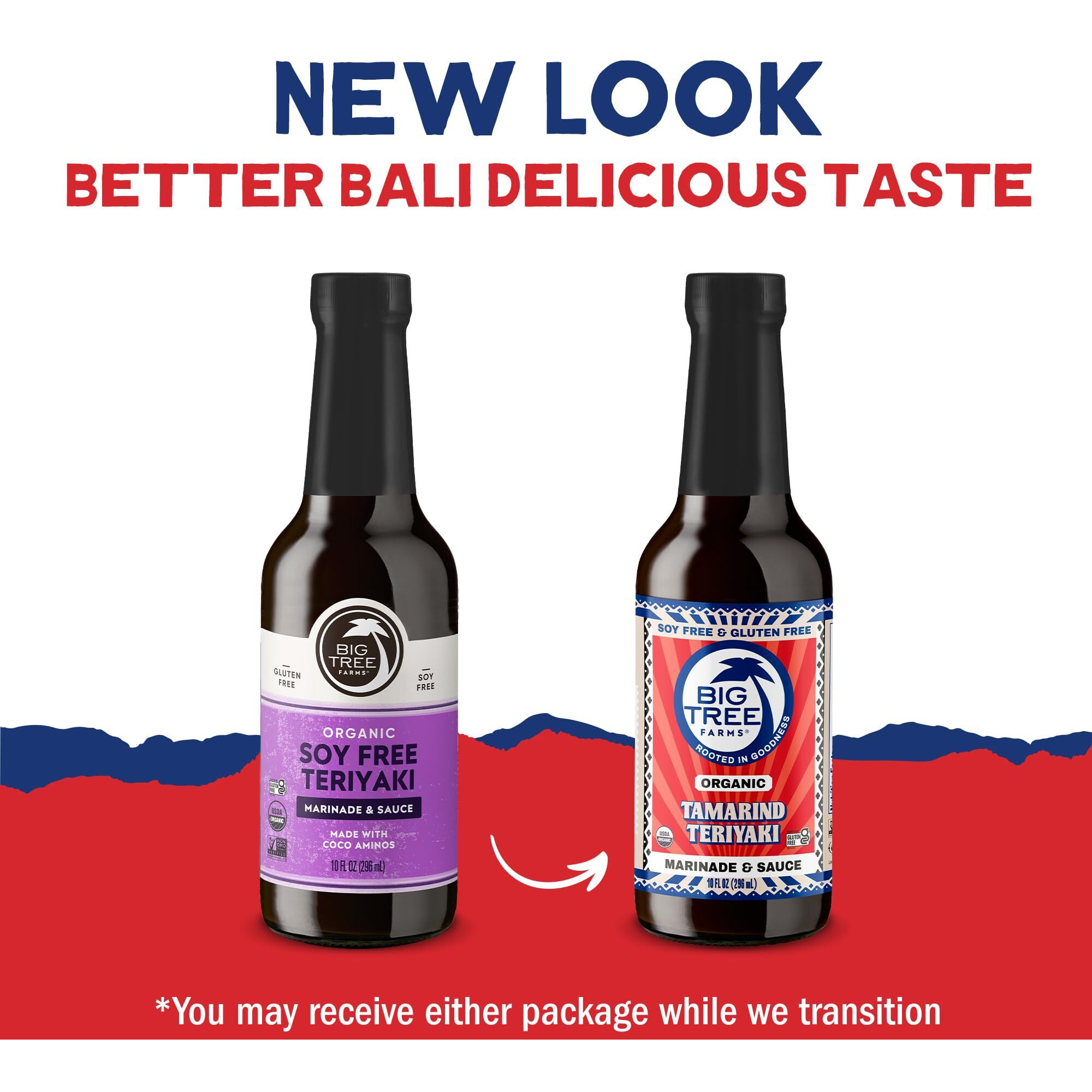 Big Tree Farms Organic Coco Aminos - Liquid Coconut Aminos, Soy-Free Sauce, Low Sodium, Soy Alternative, Gluten Free, Kosher, Marinade & Sauce, Non-Gmo - Teriyaki, 10 Fl Oz (Pack Of 1)