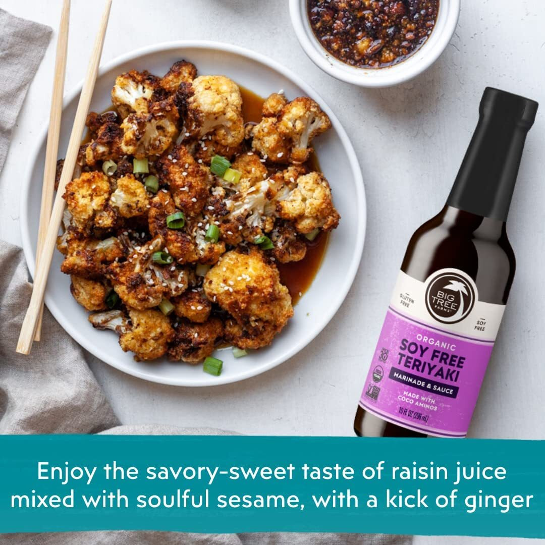 Big Tree Farms Organic Coco Aminos - Liquid Coconut Aminos, Soy-Free Sauce, Low Sodium, Soy Alternative, Gluten Free, Kosher, Marinade & Sauce, Non-Gmo - Teriyaki, 10 Fl Oz (Pack Of 1)