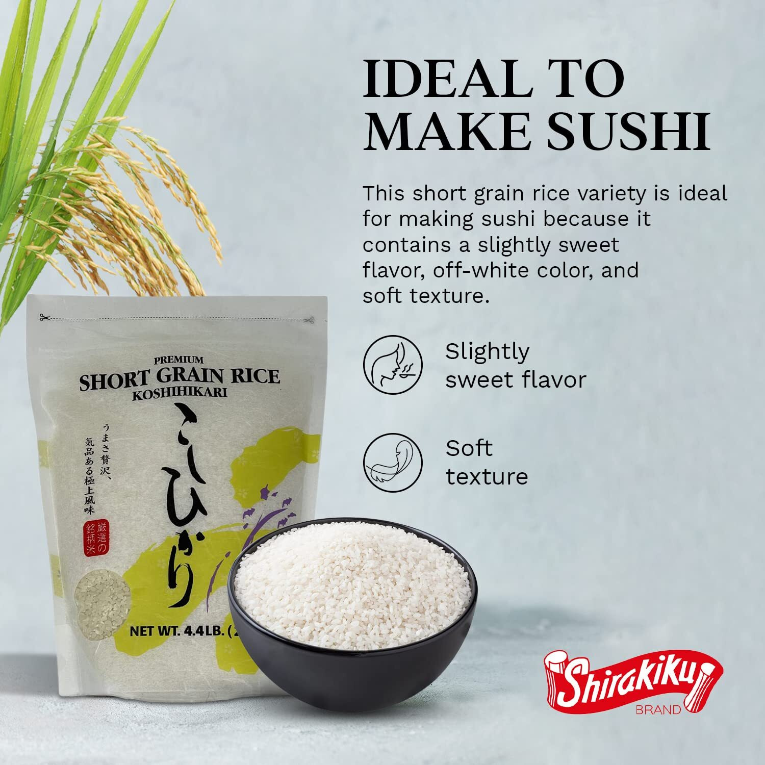 Shirakiku Dried Grains & Rice - Japanese Short Grain White Koshihikari - Uncooked Premium Quality Sweet Sticky Sushi Rice, 4.4 Pounds Bag