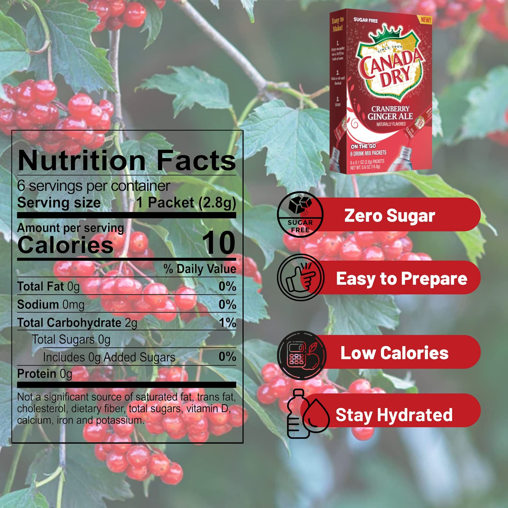 Lle Canada Dry Powder Drink Mix Cranberry Ginger Ale Flavor, Sugar Free & Delicious Water Enhancer Easy To Prepare Powdered Beverages For Picnic Camping Outdoor Drinks 6Ct Box, 2 Boxes-12 Sticks Total