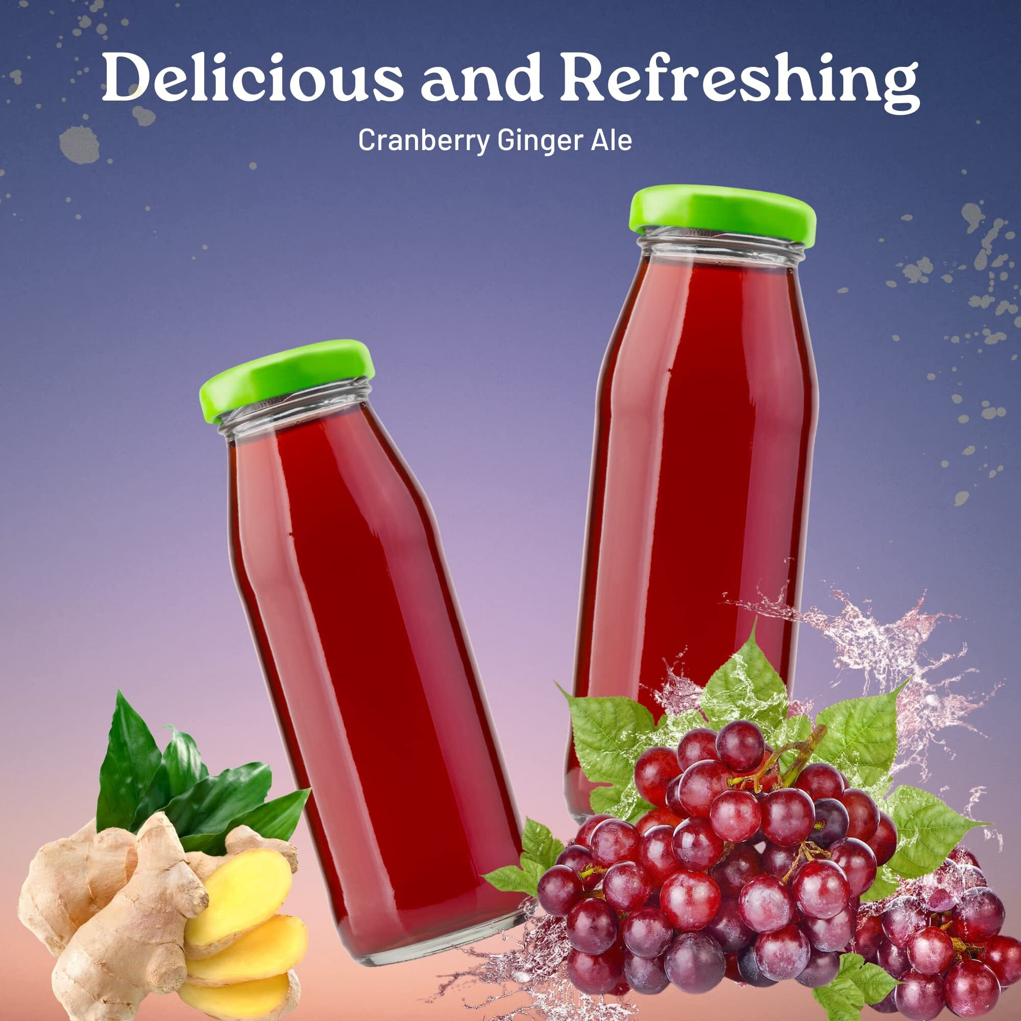 Lle Canada Dry Powder Drink Mix Cranberry Ginger Ale Flavor, Sugar Free & Delicious Water Enhancer Easy To Prepare Powdered Beverages For Picnic Camping Outdoor Drinks 6Ct Box, 2 Boxes-12 Sticks Total