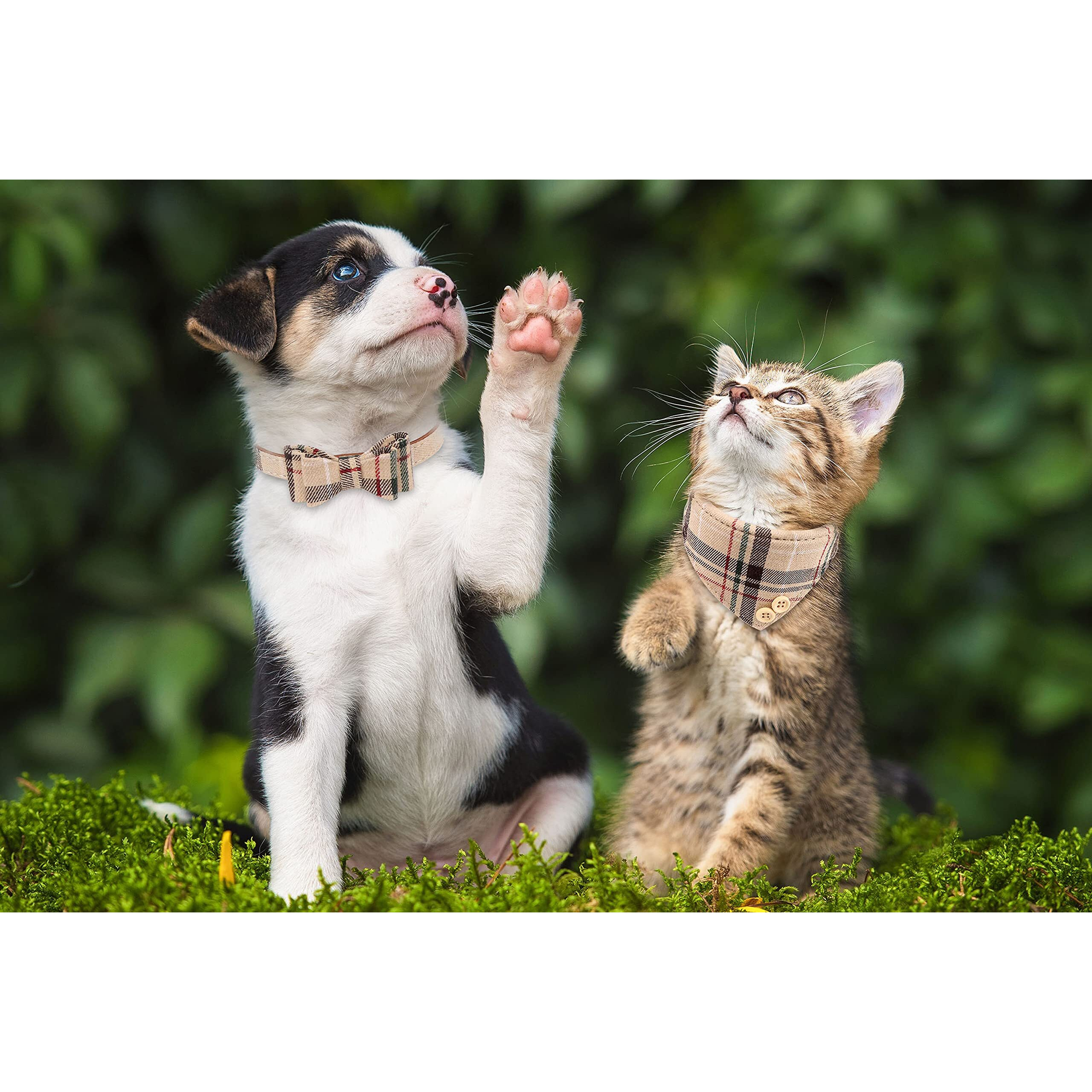 3 Pcs Dog Collars For Small Puppy Collar And Leash Set, Bow Tie With Bell, Bandana Leather For Small Dogs Puppies And Cats(Beige)