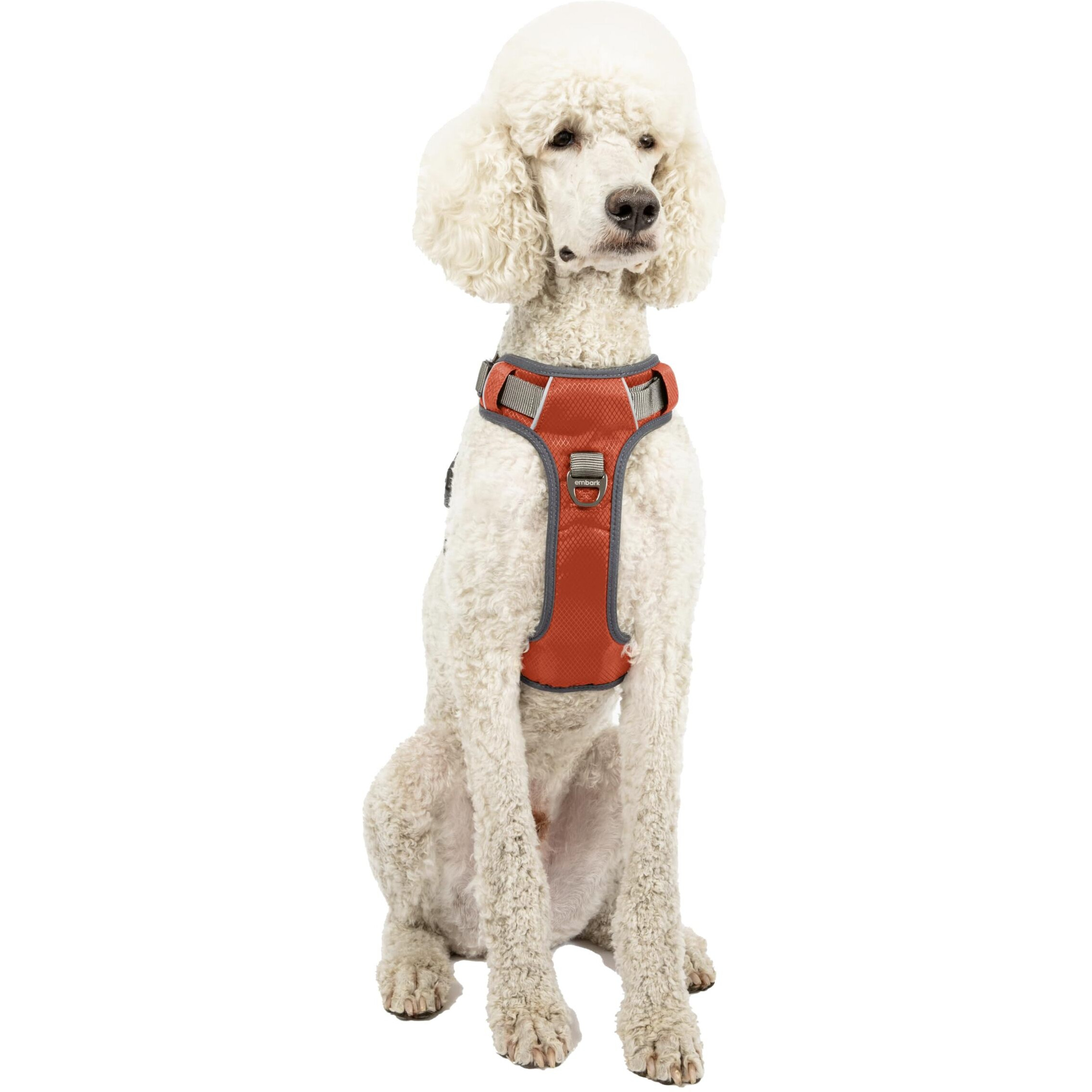 Embark Adventure Dog Harness, No Pull Dog Harness With 2 Leash Clips, Dog Harness For Medium Dogs No Pull. Front & Back With Control Handle, Adjustable Orange Dog Vest, Soft & Padded For Comfort