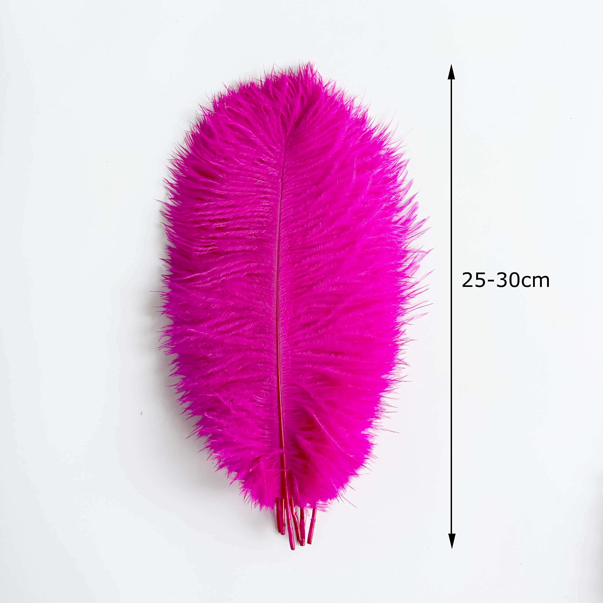 Piokio 10Pcs Hot Pink Ostrich Feathers 10-12 Inch (25-30Cm) Bulk Feathers For Home Decoration And Diy Clothing And Diy Clothes Decoration, Gatsby Decorations