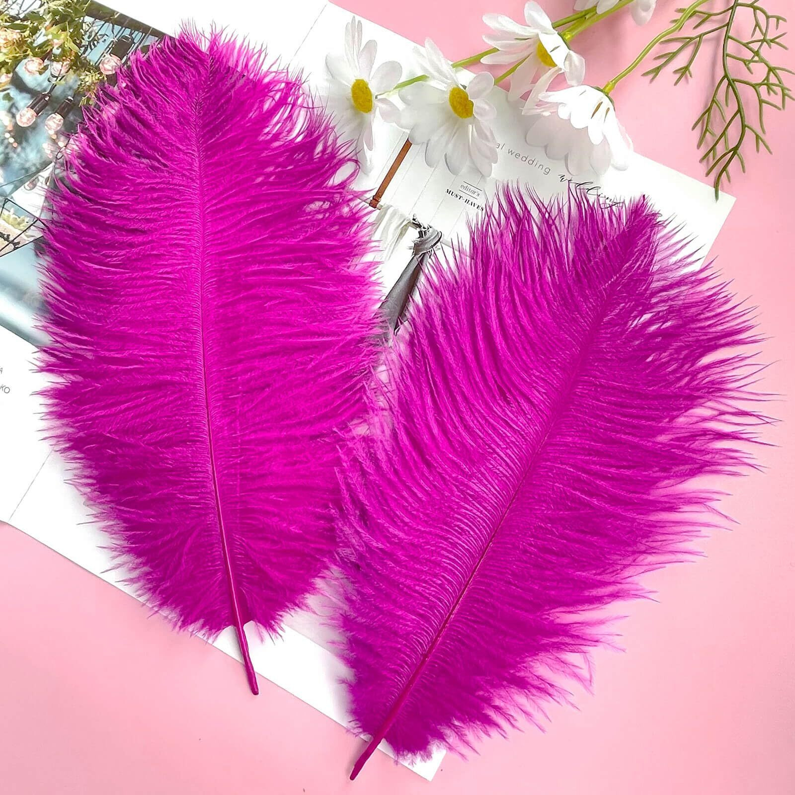 Piokio 10Pcs Hot Pink Ostrich Feathers 10-12 Inch (25-30Cm) Bulk Feathers For Home Decoration And Diy Clothing And Diy Clothes Decoration, Gatsby Decorations