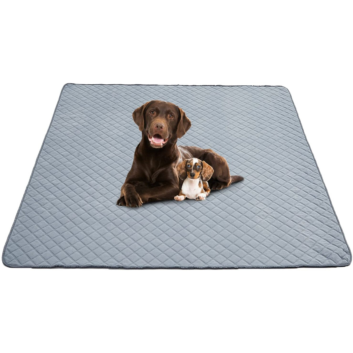 Eterish Reusable Washable Pee Pads For Dogs Extra Large 72'' X 72'' 1 Pack, Absorbent Pet Puppy Dog Training Pads Non-Slip, Waterproof Whelping Potty Pads For Dogs Leak-Proof