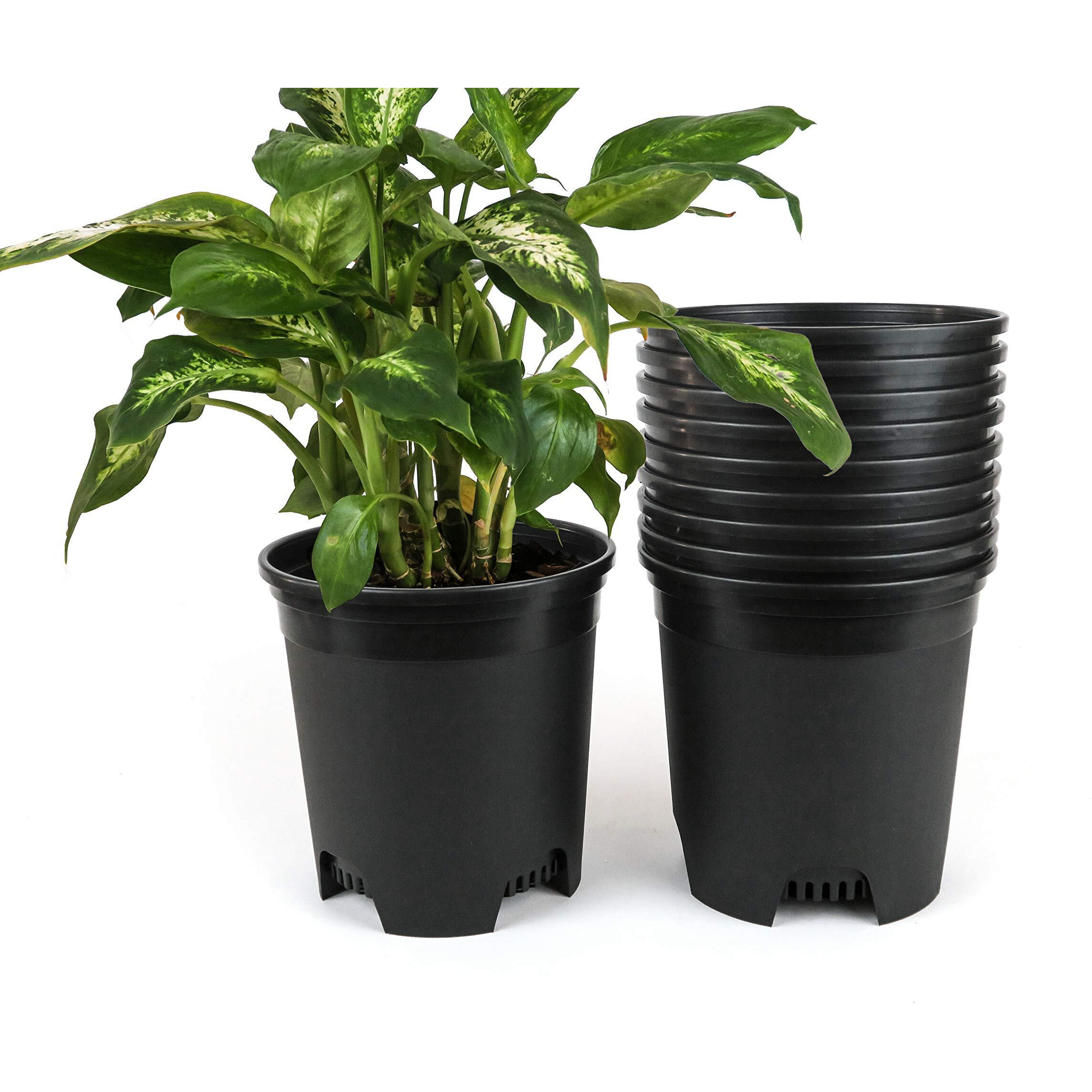 1.5 Gallon Black Nursery Pot Plastic Planters For Outdoor Indoor Plants Gardening Flower Pots 10-Pack 7.5 In Pot Liners With Drainage Holes