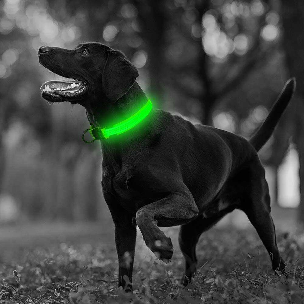 Illumifun Led Dog Collar, Usb Rechargeable Lighted Dog Collar, Reflective Glowing Safety Collar Make Your Dogs Safe Seen At Night(Green-3 Reflective Strip, Medium)