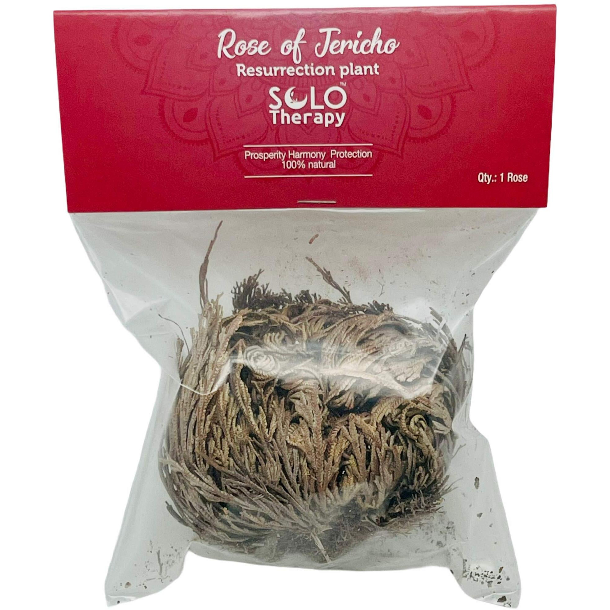 Rose Of Jericho Flower The Resurrection Plant  Pack Of 1 Dried Rose  Sacred Rose, Doradilla Plant  3 - 4 Each (1)
