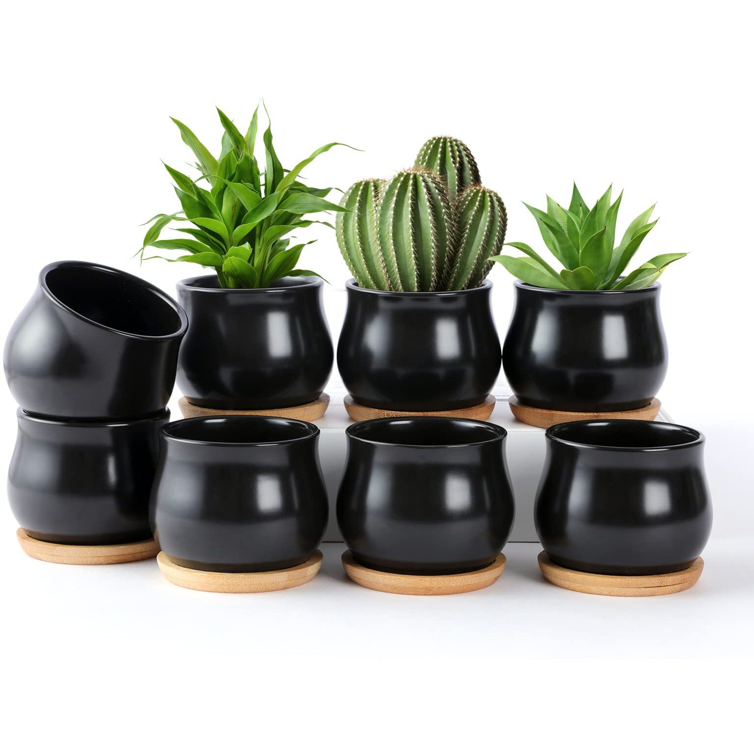 Shecipin 8 Pack Succulent Plant Pot, Matte Black Mini 2.6 Inch Ceramic Flower Planter Pot With Bamboo Tray, Small Pots For Plants, Plants Not Included