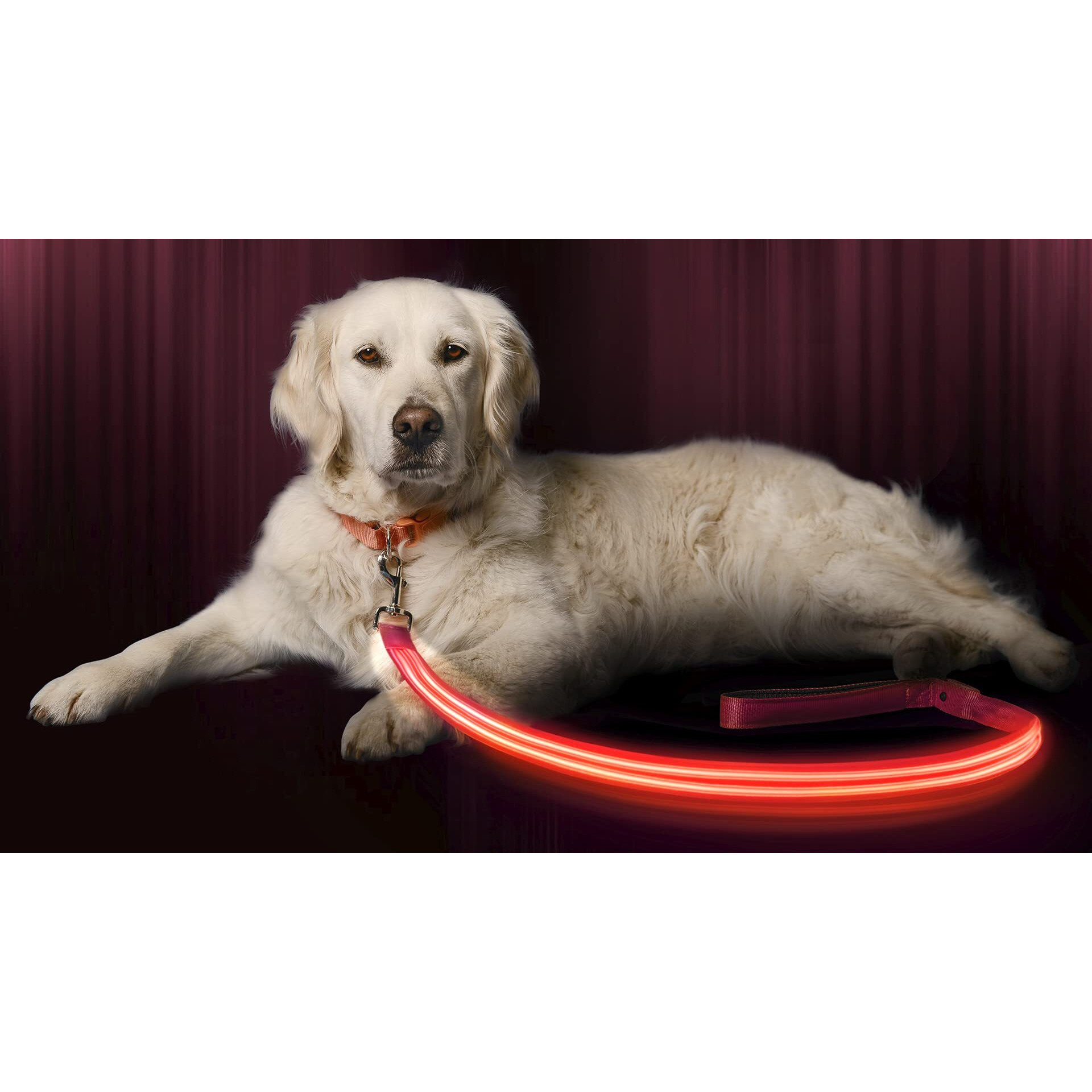 Illumiseen Led Light Up Dog Leash  Ultra High Visibility Up To 350 Yards  3 Lighting Modes  Usb Rechargeable, No Batteries Needed  Padded Handle  Rotating Swivel Clasp To Prevent Leash Tangling