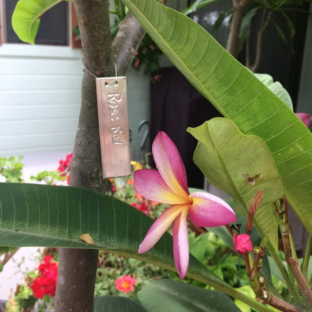 Aluminum Plant Label, 200Pcs Metal Plant Labels Aluminum Tree Tags With Metal Wires Double-Sided Write On Metal Tags For Plant Markers, Tree Tags, Outdoor Identification And Greenhouse (200Pcs)