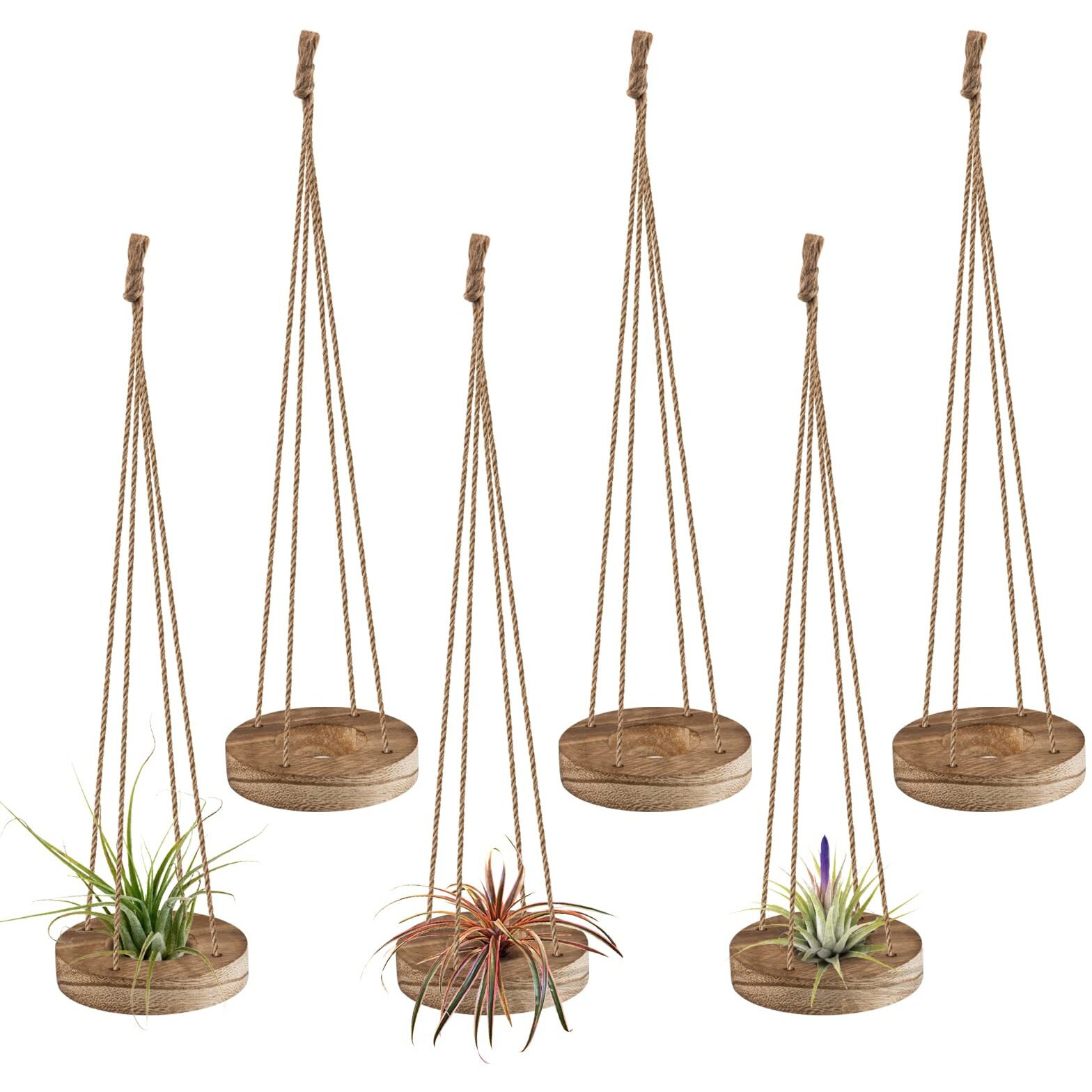 6 Pcs Hanging Wooden Air Plant Holder - 3" Round Wooden Air Plant Hanger With Jute Ropes, Rustic Air Plant Stand Tillandsia Succulent Display Container For Home Office Decor (Plants Not Included)