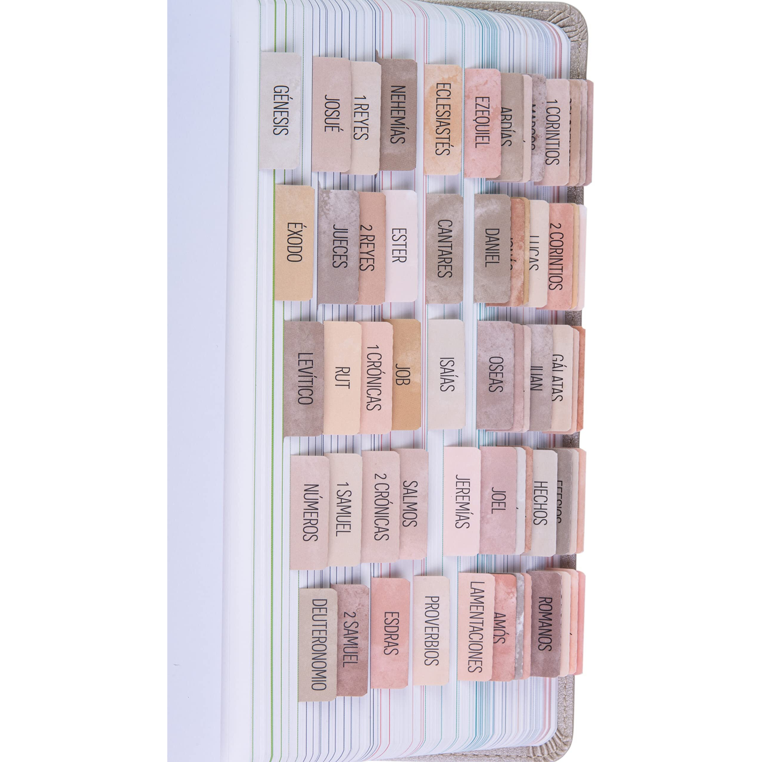 Diversebee Spanish Bible Tabs (Large Print, Easy To Read), Bible Journaling Book Tabs, Christian Gift, 66 Bible Tabs Old And New Testament, Includes Catholic Books And 9 Blank Tabs (Paz)