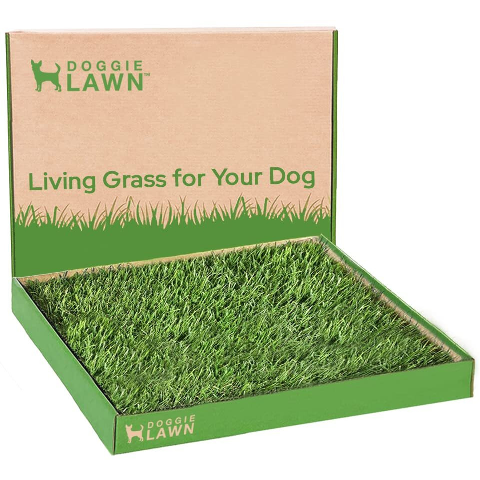 Doggielawn Real Grass Puppy Pee Pads- 24 X 24 Inches - Perfect Indoor Litter Box For Dogs - No Mess, Easy-To-Use - Potty Training For Pets - Eco-Friendly Disposable Bathroom With Real Living Grass