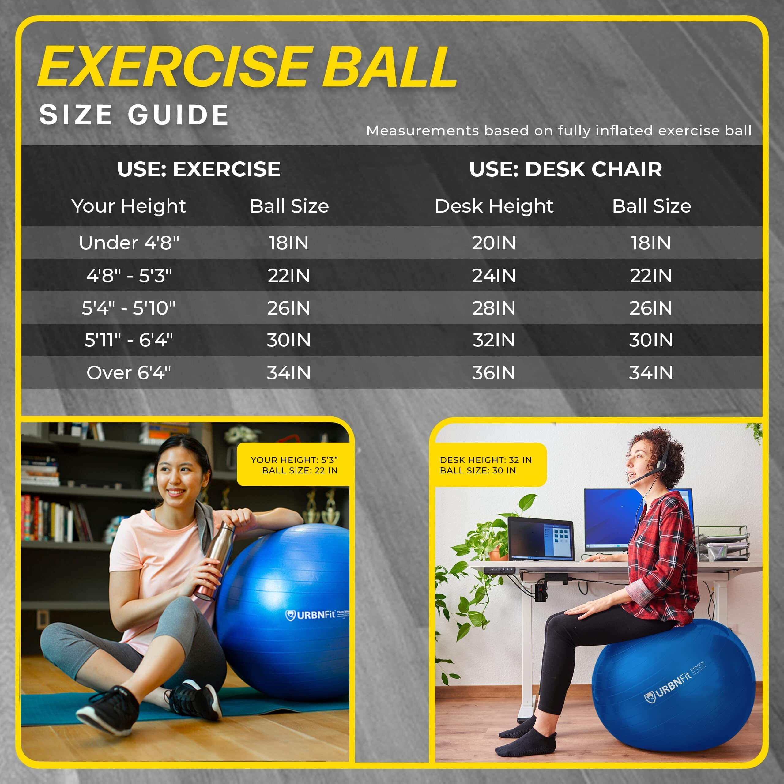 Urbnfit Exercise Ball -