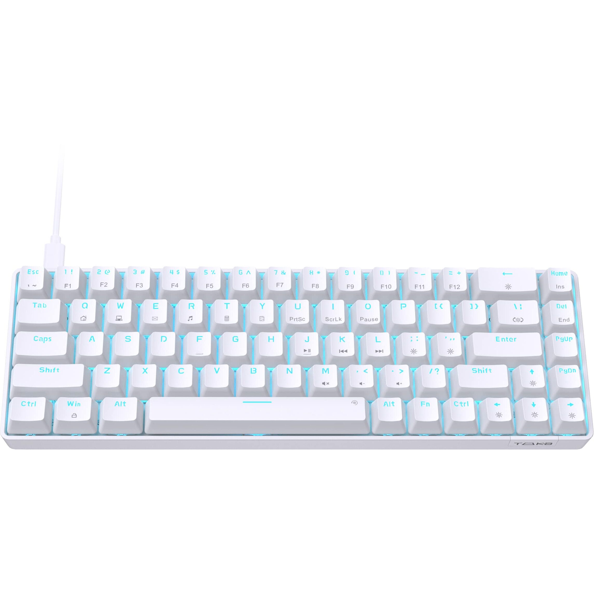 Dierya T68Se Wired 60% Mechanical Gaming Keyboard, Led Backlit Ultra-Compact 68 Keys Office Keyboard With Stand-Alone Arrow/Control Keys For Windows Laptop Pc Mac, Clicky Blue Switch, White